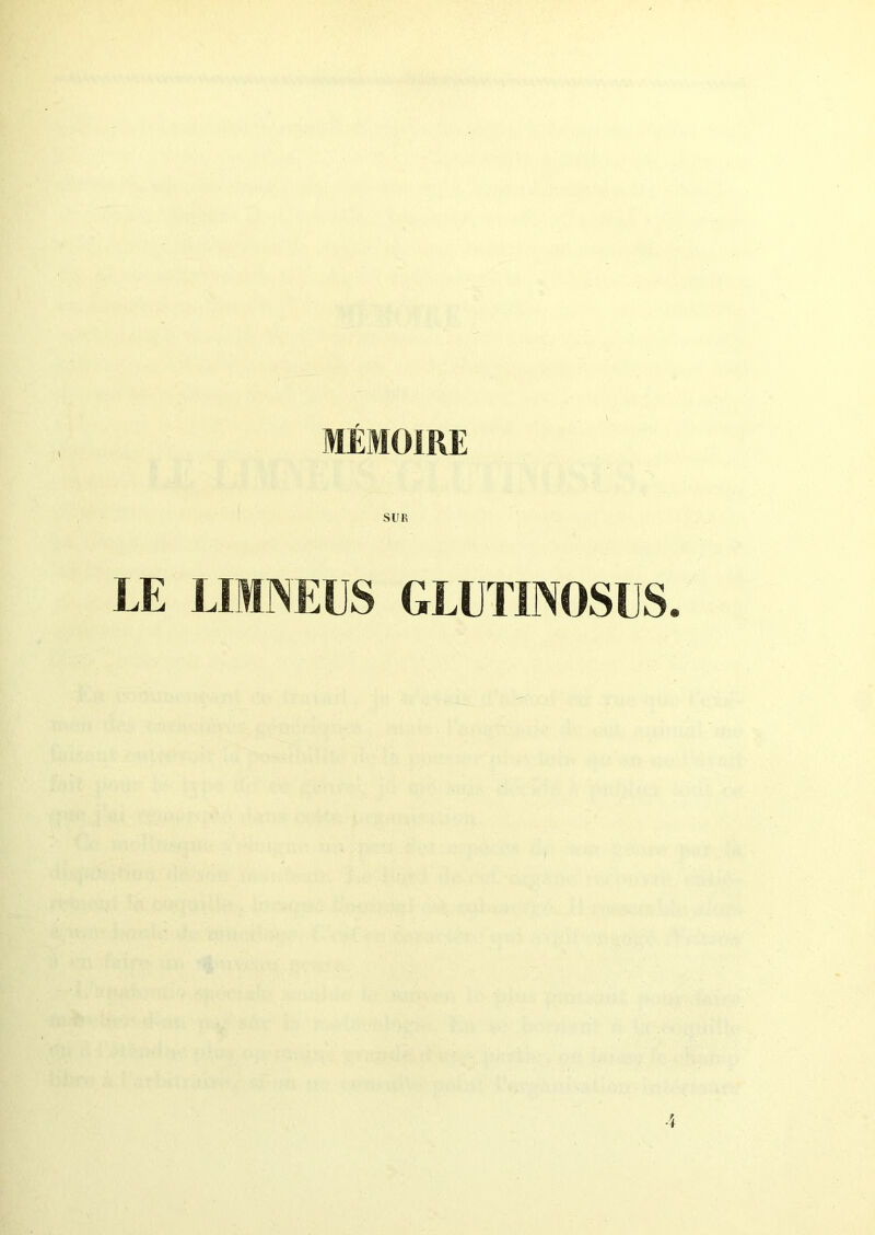 MÉMOIRE SUR LE LUN EUS GLUTINOSUS.