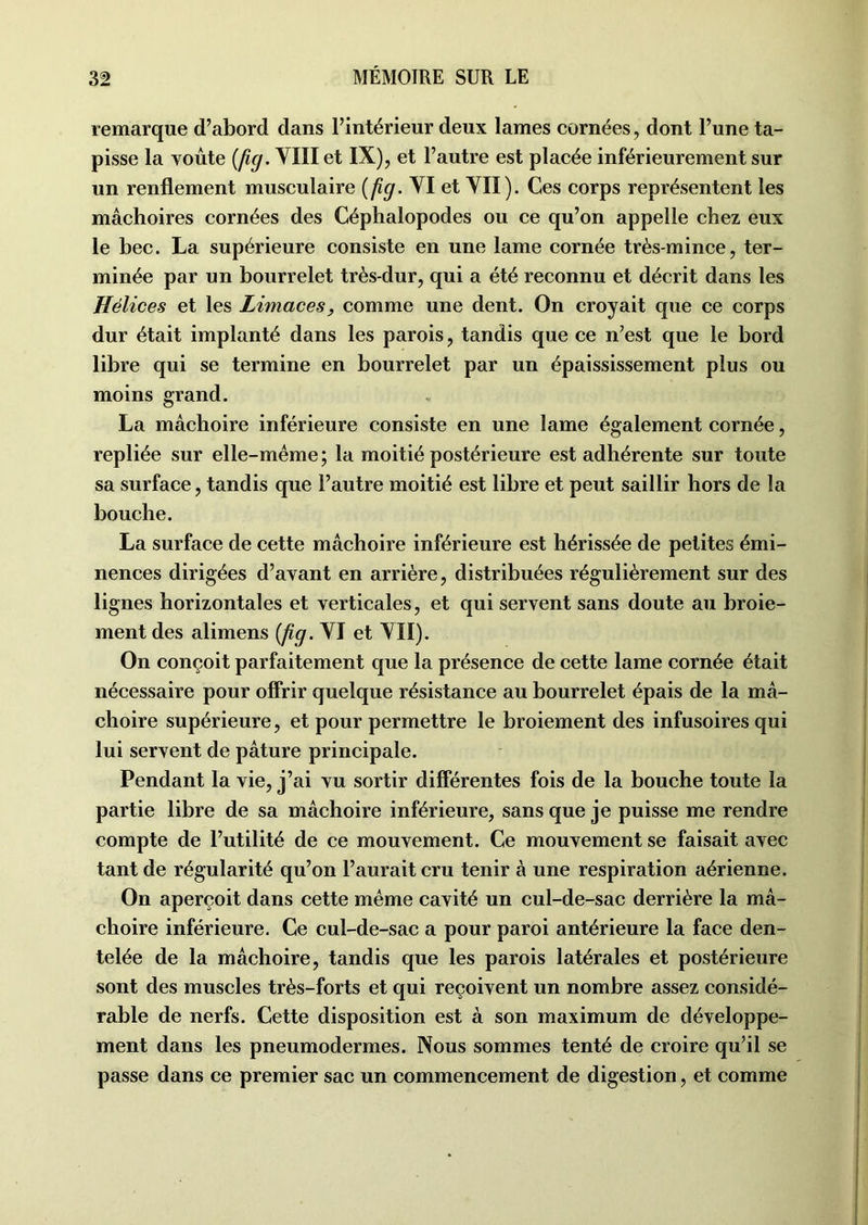 remarque d’abord dans l’intérieur deux lames cornées, dont l’une ta- pisse la youte (fig. VIII et IX), et l’autre est placée inférieurement sur un renflement musculaire (fig.Yl et VII). Ces corps représentent les mâchoires cornées des Céphalopodes ou ce qu’on appelle chez eux le bec. La supérieure consiste en une lame cornée très-mince, ter- minée par un bourrelet très-dur, qui a été reconnu et décrit dans les Hélices et les Limaces, comme une dent. On croyait que ce corps dur était implanté dans les parois, tandis que ce n’est que le bord libre qui se termine en bourrelet par un épaississement plus ou moins grand. La mâchoire inférieure consiste en une lame également cornée, repliée sur elle-même ; la moitié postérieure est adhérente sur toute sa surface, tandis que l’autre moitié est libre et peut saillir hors de la bouche. La surface de cette mâchoire inférieure est hérissée de petites émi- nences dirigées d’avant en arrière, distribuées régulièrement sur des lignes horizontales et verticales, et qui servent sans doute au broie- ment des alimens (fig. VI et VII). On conçoit parfaitement que la présence de cette lame cornée était nécessaire pour offrir quelque résistance au bourrelet épais de la mâ- choire supérieure, et pour permettre le broiement des infusoires qui lui servent de pâture principale. Pendant la vie, j’ai vu sortir différentes fois de la bouche toute la partie libre de sa mâchoire inférieure, sans que je puisse me rendre compte de l’utilité de ce mouvement. Ce mouvement se faisait avec tant de régularité qu’on l’aurait cru tenir à une respiration aérienne. On aperçoit dans cette même cavité un cul-de-sac derrière la mâ- choire inférieure. Ce cul-de-sac a pour paroi antérieure la face den- telée de la mâchoire, tandis que les parois latérales et postérieure sont des muscles très-forts et qui reçoivent un nombre assez considé- rable de nerfs. Cette disposition est à son maximum de développe- ment dans les pneumodermes. Nous sommes tenté de croire qu’il se passe dans ce premier sac un commencement de digestion, et comme