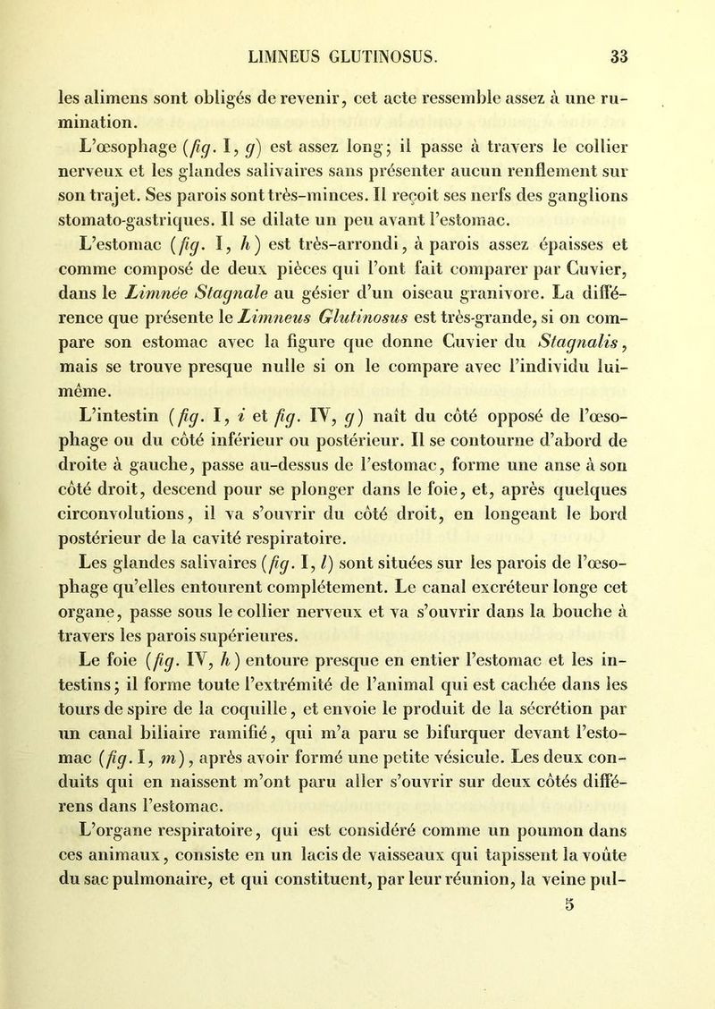les alimens sont obligés de revenir, cet acte ressemble assez à une ru- mination. L’œsophage (fig. I, g) est assez long; il passe à travers le collier nerveux et les glandes salivaires sans présenter aucun renflement sur son trajet. Ses parois sont très-minces. Il reçoit ses nerfs des ganglions stomato-gastriques. Il se dilate un peu avant l’estomac. L’estomac (fig. I, A) est très-arrondi, à parois assez épaisses et comme composé de deux pièces qui l’ont fait comparer par Cuvier, dans le Limnée Stagnale au gésier d’un oiseau granivore. La diffé- rence que présente le Limneus Glutinosus est très-grande, si on com- pare son estomac avec la figure que donne Cuvier du Stagnalis, mais se trouve presque nulle si on le compare avec l’individu lui- même. L’intestin (fig. I, z et fig. IY, g) naît du côté opposé de l’œso- phage ou du côté inférieur ou postérieur. Il se contourne d’abord de droite à gauche, passe au-dessus de F estomac, forme une anse à son côté droit, descend pour se plonger dans le foie, et, après quelques circonvolutions, il va s’ouvrir du côté droit, en longeant le bord postérieur de la cavité respiratoire. Les glandes salivaires (fig.l, l) sont situées sur les parois de l’œso- phage qu’elles entourent complètement. Le canal excréteur longe cet organe, passe sous le collier nerveux et va s’ouvrir dans la bouche à travers les parois supérieures. Le foie (fig. IY, h) entoure presque en entier l’estomac et les in- testins ; il forme toute l’extrémité de l’animal qui est cachée dans les tours de spire de la coquille, et envoie le produit de la sécrétion par un canal biliaire ramifié, qui m’a paru se bifurquer devant l’esto- mac (fig. I, m), après avoir formé une petite vésicule. Les deux con- duits qui en naissent m’ont paru aller s’ouvrir sur deux côtés diffé- rens dans l’estomac. L’organe respiratoire, qui est considéré comme un poumon dans ces animaux, consiste en un lacis de vaisseaux qui tapissent la voûte du sac pulmonaire, et qui constituent, par leur réunion, la veine pul- 5
