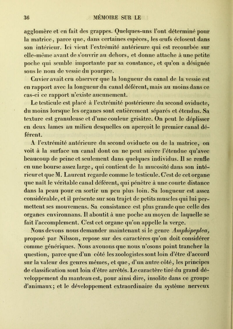 agglomère et en fait des grappes. Quelques-uns l’ont déterminé pour la matrice, parce que, dans certaines espèces, les œufs éclosent dans son intérieur. Ici vient l’extrémité antérieure qui est recourbée sur elle-même avant de s’ouvrir au dehors, et donne attache à une petite poche qui semble importante par sa constance, et qu’on a désignée sous le nom de vessie du pourpre. Cuvier avait cru observer que la longueur du canal de la vessie est en rapport avec la longueur du canal déférent, mais au moins dans ce cas-ci ce rapport n’existe aucunement. Le testicule est placé à l’extrémité postérieure du second oviducte, du moins lorsque les organes sont entièrement séparés et étendus. Sa texture est granuleuse et d’une couleur grisâtre. On peut le déplisser en deux lames au milieu desquelles on aperçoit le premier canal dé- férent. A l’extrémité antérieure du second oviducte ou de la matrice, on voit à la surface un canal dont on ne peut suivre l’étendue qu’avec beaucoup de peine et seulement dans quelques individus. Il se renfle en une bourse assez large, qui contient de la mucosité dans son inté- rieur et que M. Laurent regarde comme le testicule. C’est de cet organe que naît le véritable canal déférent, qui pénètre à une courte distance dans la peau pour en sortir un peu plus loin. Sa longueur est assez considérable, et il présente sur son trajet de petits muscles qui lui per- mettent ses mouvemens. Sa consistance est plus grande que celle des organes environnans. Il aboutit à une poche au moyen de laquelle se fait l’accomplement. C’est cet organe qu’on appelle la verge. Nous devons nous demander maintenant si le genre Amphipeplea, proposé par Nilsson, repose sur des caractères qu’on doit considérer comme génériques. Nous avouons que nous n’osons point trancher la question, parce que d’un coté les zoologistes sont loin d’être d’accord sur la valeur des genres mêmes, et que, d’un autre coté, les principes de classification sont loin d’être arrêtés. Le caractère tiré du grand dé- veloppement du manteau est, pour ainsi dire, insolite dans ce groupe d’animaux; et le développement extraordinaire du système nerveux