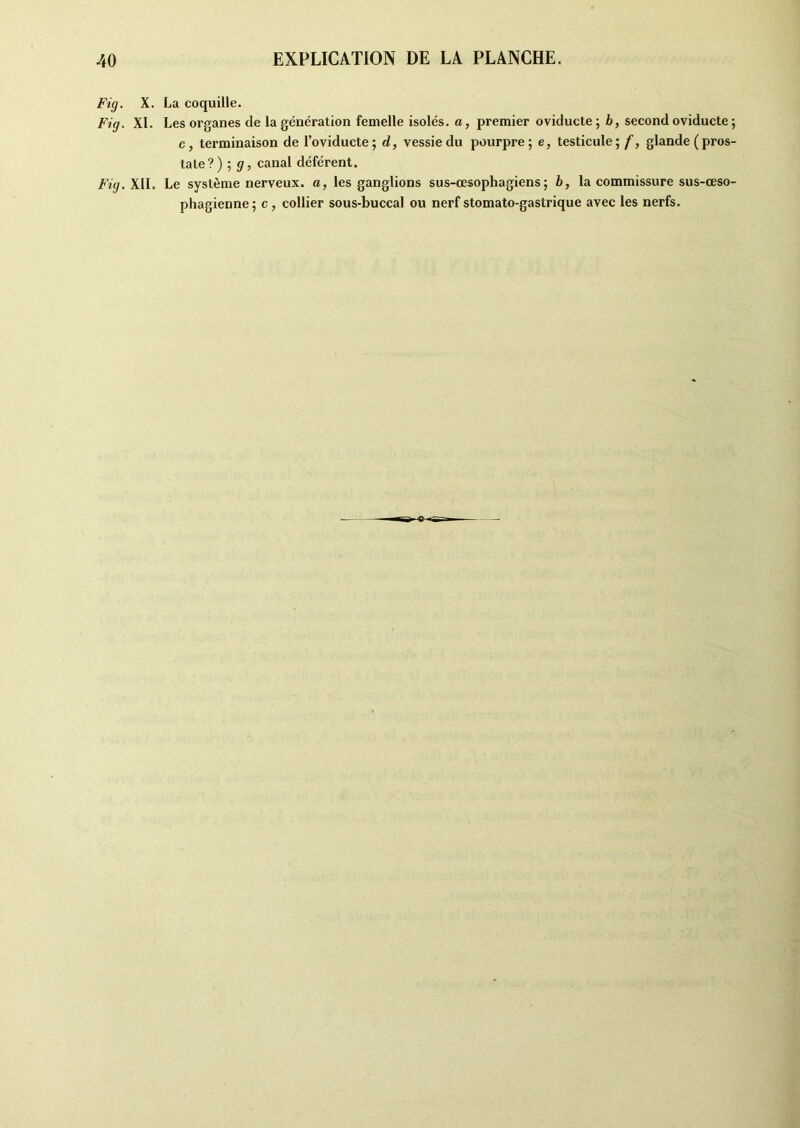 Fig. X. La coquille. Fig. XI. Les organes de la génération femelle isolés, a, premier oviducte ; b, second oviducte ; c, terminaison de l’oviducte; d, vessie du pourpre; e, testicule; f, glande (pros- tate?) ; g, canal déférent. Fig, XII. Le système nerveux, a, les ganglions sus-œsophagiens; b, la commissure sus-œso- phagienne; c, collier sous-buccal ou nerf stomato-gastrique avec les nerfs.