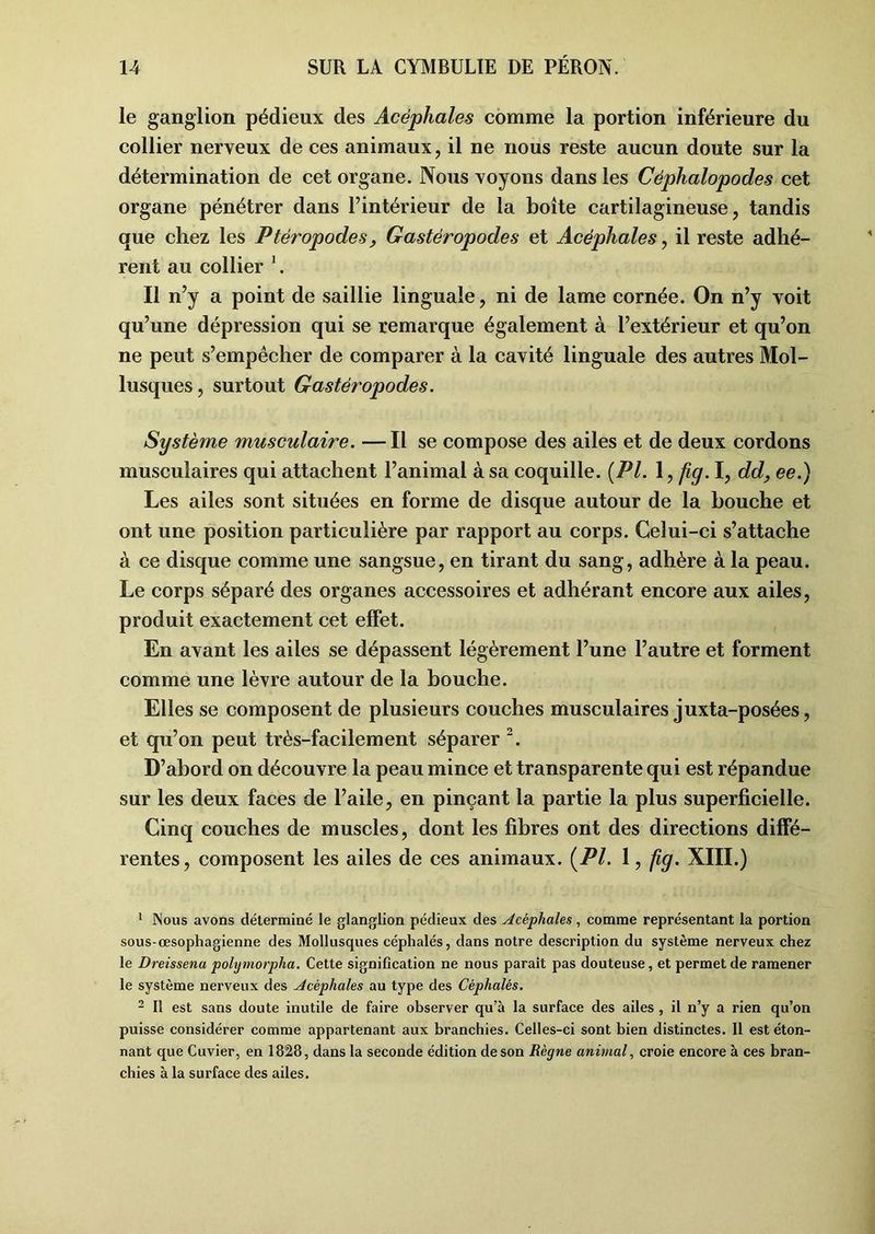 le ganglion pédieux des Acéphales comme la portion inférieure du collier nerveux de ces animaux, il ne nous reste aucun doute sur la détermination de cet organe. Nous voyons dans les Céphalopodes cet organe pénétrer dans l’intérieur de la boîte cartilagineuse, tandis que chez les Ptèropodes, Gastéropodes et Acéphales, il reste adhé- rent au collier \ Il n’y a point de saillie linguale, ni de lame cornée. On n’y voit qu’une dépression qui se remarque également à l’extérieur et qu’on ne peut s’empêcher de comparer à la cavité linguale des autres Mol- lusques, surtout Gastéropodes. Système musculaire. —Il se compose des ailes et de deux cordons musculaires qui attachent l’animal à sa coquille. {PI. 1, fig. I, dd, ee.) Les ailes sont situées en forme de disque autour de la bouche et ont une position particulière par rapport au corps. Celui-ci s’attache à ce disque comme une sangsue, en tirant du sang, adhère à la peau. Le corps séparé des organes accessoires et adhérant encore aux ailes, produit exactement cet effet. En avant les ailes se dépassent légèrement l’une l’autre et forment comme une lèvre autour de la bouche. Elles se composent de plusieurs couches musculaires juxta-posées, et qu’on peut très-facilement séparer 1 2. D’abord on découvre la peau mince et transparente qui est répandue sur les deux faces de l’aile, en pinçant la partie la plus superficielle. Cinq couches de muscles, dont les fibres ont des directions diffé- rentes, composent les ailes de ces animaux. {PI. 1, fig. XIII.) 1 Nous avons déterminé le glanglion pédieux des Acéphales, comme représentant la portion sous-œsophagienne des Mollusques céphalés, dans notre description du système nerveux chez le Dreissena polymorpha. Cette signification ne nous parait pas douteuse, et permet de ramener le système nerveux des Acéphales au type des Céphalés. 2 II est sans doute inutile de faire observer qu’à la surface des ailes , il n’y a rien qu’on puisse considérer comme appartenant aux branchies. Celles-ci sont bien distinctes. 11 est éton- nant que Cuvier, en 1828, dans la seconde édition de son Règne animal, croie encore à ces bran- chies à la surface des ailes.