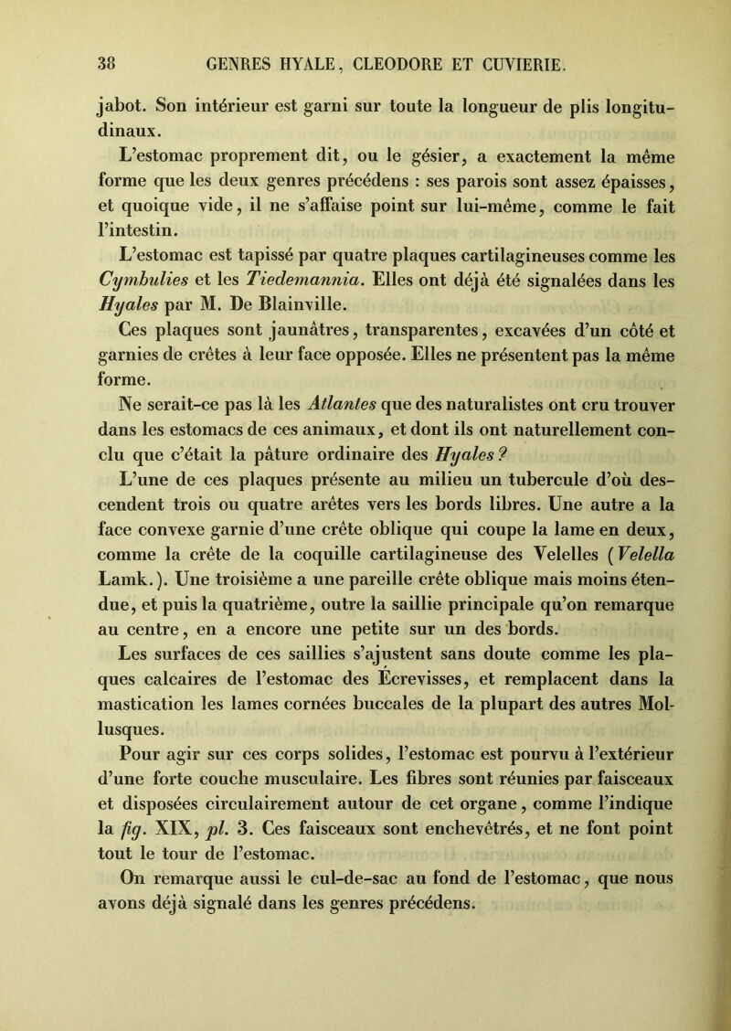 jabot. Son intérieur est garni sur toute la longueur de plis longitu- dinaux. L’estomac proprement dit, ou le gésier, a exactement la même forme que les deux genres précédens : ses parois sont assez épaisses, et quoique vide, il ne s’affaise point sur lui-même, comme le fait l’intestin. L’estomac est tapissé par quatre plaques cartilagineuses comme les Cymbulies et les Tiedemannia. Elles ont déjà été signalées dans les Hyales par M. De Blainville. Ces plaques sont jaunâtres, transparentes, excavées d’un coté et garnies de crêtes à leur face opposée. Elles ne présentent pas la même forme. Ne serait-ce pas là les Atlantes que des naturalistes ont cru trouver dans les estomacs de ces animaux, et dont ils ont naturellement con- clu que c’était la pâture ordinaire des Hyales ? L’une de ces plaques présente au milieu un tubercule d’où des- cendent trois ou quatre arêtes vers les bords libres. Une autre a la face convexe garnie d’une crête oblique qui coupe la lame en deux, comme la crête de la coquille cartilagineuse des Velelles ( Velella Lamk. ). Une troisième a une pareille crête oblique mais moins éten- due, et puis la quatrième, outre la saillie principale qu’on remarque au centre, en a encore une petite sur un des bords. Les surfaces de ces saillies s’ajustent sans doute comme les pla- ques calcaires de l’estomac des Ecrevisses, et remplacent dans la mastication les lames cornées buccales de la plupart des autres Mol- lusques. Pour agir sur ces corps solides, l’estomac est pourvu à l’extérieur d’une forte couche musculaire. Les fibres sont réunies par faisceaux et disposées circulairement autour de cet organe, comme l’indique la fig. XIX, pl. 3. Ces faisceaux sont enchevêtrés, et ne font point tout le tour de l’estomac. On remarque aussi le cul-de-sac au fond de l’estomac, que nous avons déjà signalé dans les genres précédens.