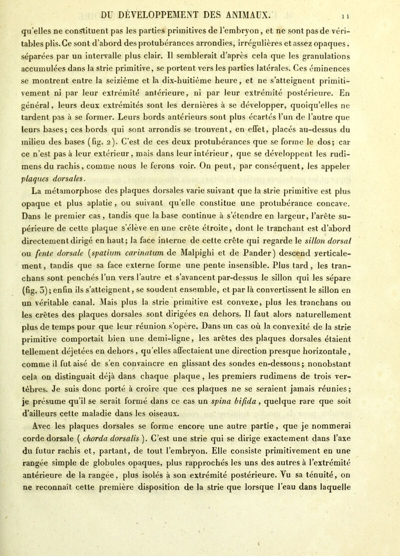quelles ne constituent pas les parties primitives de l’embryon, et ne sont pas de véri- tables plis. Ce sont d’abord des protubérances arrondies, irrégulières et assez opaques, séparées par un intervalle plus clair. Il semblerait d’après cela que les granulations accumulées dans la strie primitive, se portent vers les parties latérales. Ces éminences se montrent entre la seizième et la dix-huitième heure, et ne s’atteignent primiti- vement ni par leur extrémité antérieure, ni par leur extrémité postérieure. En général, leurs deux extrémités sont les dernières à se développer, quoiqu’elles ne tardent pas à se former. Leurs bords antérieurs sont plus écartés l’un de l’autre que leurs bases; ces bords qui sont arrondis se trouvent, en effet, placés au-dessus du milieu des bases (fig. 2). C’est de ces deux protubérances que se forme le dos; car ce n’est pas à leur extérieur, mais dans leur intérieur, que se développent les rudi- mens du rachis, comme nous le ferons voir. On peut, par conséquent, les appeler plaques dorsales. La métamorphose des plaques dorsales varie suivant que la strie primitive est plus opaque et plus aplatie, ou suivant quelle constitue une protubérance concave. Dans le premier cas, tandis que la base continue à s’étendre en largeur, l’arête su- périeure de cette plaque s’élève en une crête étroite, dont le tranchant est d’abord directement dirigé en haut; la face interne de cette crête qui regarde le sillon dorsal ou fente dorsale (spatium carinatum de Malpighi et de Pander) descend verticale- ment , tandis que sa face externe forme une pente insensible. Plus tard, les tran- chans sont penchés l’un vers l’autre et s’avancent par-dessus le sillon qui les sépare (fig. 5) ; enfin ils s’atteignent, se soudent ensemble, et par là convertissent le sillon en un véritable canal. Mais plus la strie primitive est convexe, plus les tranchans ou les crêtes des plaques dorsales sont dirigées en dehors. Il faut alors naturellement plus de temps pour que leur réunion s’opère. Dans un cas où la convexité de la strie primitive comportait bien une demi-ligne, les arêtes des plaques dorsales étaient tellement déjetées en dehors, qu’elles affectaient une direction presque horizontale, comme il fut aisé de s’en convaincre en glissant des sondes en-dessous; nonobstant cela on distinguait déjà dans chaque plaque, les premiers rudimens de trois ver- tèbres. Je suis donc porté à croire que ces plaques ne se seraient jamais réunies; je présume qu’il se serait formé dans ce cas un spina bifida, quelque rare que soit d’ailleurs cette maladie dans les oiseaux. Avec les plaques dorsales se forme encore une autre partie, que je nommerai corde dorsale ( chorda dorsalis ). C’est une strie qui se dirige exactement dans l’axe du futur rachis et, partant, de tout l’embryon. Elle consiste primitivement en une rangée simple de globules opaques, plus rapprochés les uns des autres à l’extrémité antérieure de la rangée, plus isolés à son extrémité postérieure. Yu sa ténuité, on ne reconnaît cette première disposition de la strie que lorsque l’eau dans laquelle
