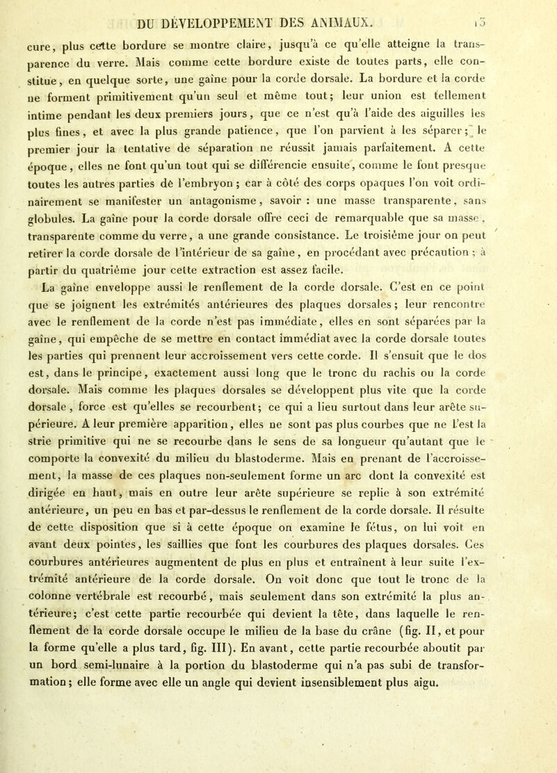 cure, plus cette bordure se montre claire, jusqu’à ce quelle atteigne la trans- parence du verre. Mais comme cette bordure existe de toutes parts, elle con- stitue, en quelque sorte, une gaine pour la corde dorsale. La bordure et la corde ne forment primitivement qu’un seul et même tout; leur union est tellement intime pendant les deux premiers jours, que ce n’est qu’à l’aide des aiguilles les plus fines, et avec la plus grande patience, que l’on parvient à les séparer; le premier jour la tentative de séparation ne réussit jamais parfaitement. A cette époque, elles ne font qu’un tout qui se différencie ensuite, comme le font presque toutes les autres parties dê l’embryon ; car à côté des corps opaques l’on voit ordi- nairement se manifester un antagonisme, savoir: une masse transparente, sans globules. La gaine pour la corde dorsale offre ceci de remarquable que sa masse , transparente comme du verre, a une grande consistance. Le troisième jour on peut retirer la corde dorsale de l’intérieur de sa gaine, en procédant avec précaution ; à partir du quatrième jour cette extraction est assez facile. La gaine enveloppe aussi le renflement de la corde dorsale. C’est en ce point que se joignent les extrémités antérieures des plaques dorsales ; leur rencontre avec le renflement de la corde n’est pas immédiate, elles en sont séparées par la gaine, qui empêche de se mettre en contact immédiat avec la corde dorsale toutes les parties qui prennent leur accroissement vers cette corde. Il s’ensuit que le dos est, dans le principe, exactement aussi long que le tronc du rachis ou la corde dorsale. Mais comme les plaques dorsales se développent plus vite que la corde dorsale, force est qu’elles se recourbent; ce qui a lieu surtout dans leur arête su- périeure. À leur première apparition, elles ne sont pas plus courbes que ne l’est la strie primitive qui ne se recourbe dans le sens de sa longueur qu’autant que le comporte la convexité du milieu du blastoderme. Mais en prenant de l’accroisse- ment, la masse de ces plaques non-seulement forme un arc dont la convexité est dirigée en haut, mais en outre leur arête supérieure se replie à son extrémité antérieure, un peu en bas et par-dessus le renflement de la corde dorsale. Il résulte de cette disposition que si à cette époque on examine le fétus, on lui voit en avant deux pointes, les saillies que font les courbures des plaques dorsales. Ces courbures antérieures augmentent de plus en plus et entraînent à leur suite l’ex- trémité antérieure de la corde dorsale. On voit donc que tout le tronc de la colonne vertébrale est recourbé, mais seulement dans son extrémité la plus an- térieure; c’est cette partie recourbée qui devient la tête, dans laquelle le ren- flement de la corde dorsale occupe le milieu de la base du crâne (fig. II, et pour la forme quelle a plus tard, fig. III). En avant, cette partie recourbée aboutit par un bord semi-lunaire à la portion du blastoderme qui n’a pas subi de transfor- mation ; elle forme avec elle un angle qui devient insensiblement plus aigu.