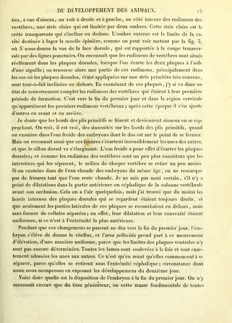 ties, à vue d’oiseau, on voit à droite et à gauche, au côté interne des rudimens des vertèbres, une strie claire qui est limitée par deux ombres. Cette strie claire est la crête transparente qui s’incline en dedans. L’ombre externe est la limite de la ca- vité destinée à loger la moelle épinière, comme on peut voir surtout par la fig. 3, où 5’ nous donne la vue de la face dorsale, qui est rapportée à la coupe transver- sale par des lignes ponctuées. On reconnaît que les rudimens de vertèbres sont situés réellement dans les plaques dorsales, lorsque l’on écarte les deux plaques à l’aide d’une aiguille; on renverse alors une partie de ces rudimens, principalement dans les cas où les plaques dorsales, étant appliquées sur une strie primitive très convexe, sont tout-à-fait inclinées en dehors. En examinant de ces plaques, j’y ai vu dans un état de renversement complet les rudimens des vertèbres qui étaient à leur première période de formation. C’est vers la fin du premier jour et dans la région cervicale qu’apparaissent les premiers rudimens vertébraux ; après cette époque il s’en ajoute d’autres en avant et en arrière. Je doute que les bords des plis primitifs se frisent et deviennent sinueux en se rap- prochant. On voit, il est vrai, des sinuosités sur les bords des plis primitifs, quand on examine dans l’eau froide des embryons dont le dos est sur le point de se fermer. Mais on reconnaît aussi que ces frisures s’écartent insensiblement les unes des autres, et que le sillon dorsal va s’élargissant. L’eau froide a pour effet d’écarter les plaques dorsales; et comme les rudimens des vertèbres sont un peu plus consistans que les interstices qui les séparent, le milieu de chaque vertèbre se retire un peu moins. Si on examine dans de l’eau chaude des embryons du même âge, on ne remarque pas de frisures tant que l’eau reste chaude. Je ne suis pas aussi certain, s’il n’y a point de dilatations dans la partie antérieure ou céphalique de la colonne vertébrale avant son occlusion. Cela en a l’air quelquefois, mais j’ai trouvé que du moins les bords internes des plaques dorsales qui se regardent étaient toujours droits, et que seulement les parties latérales de ces plaques se recourbaient en dehors, mais sans former de cellules séparées; en effet, leur dilatation et leur convexité étaient uniformes, si ce n’est à l’extrémité la plus antérieure. Pendant que ces changemens se passent au dos vers la fin du premier jour, l’em- bryon s’élève de dessus le vitellus, et Y area pellucida prend part à ce mouvement d’élévation, d’une manière uniforme, parce que les limites des plaques ventrales n’y sont pas encore déterminées. Toutes les lames sont soulevées à la fois et sont exac- tement adossées les unes aux autres. Ce n’est qu’en avant qu’elles commencent à se séparer, parce qu’elles se retirent sous l’extrémité céphalique; circonstance dont nous nous occuperons en exposant les développemens du deuxième jour. Voici donc quelle est la disposition de l’embryon à la fin du premier jour. On n’y reconnaît encore que du tissu générateur, ou cette masse fondamentale de toutes