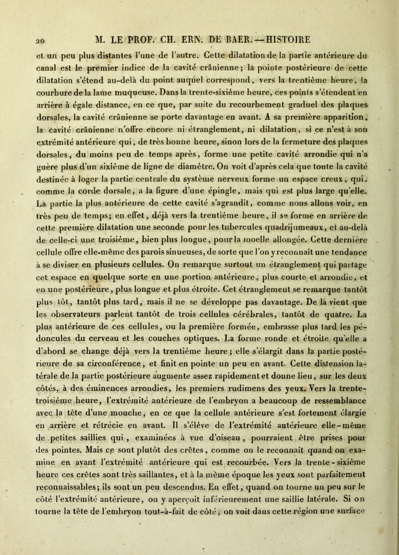 et un peu plus distantes l’une de l’autre. Cette dilatation de la partie antérieure du canal est le premier indice de la cavité crânienne; la pointe postérieure de cette dilatation s’étend au-delà du point auquel correspond, vers la trentième heure, la courbure de la lame muqueuse. Dans la trente-sixième heure, ces points s’étendent en arrière à égale distance, en ce que, par suite du recourbement graduel des plaques dorsales, la cavité crânienne se porte davantage en avant. A sa première apparition, la cavité crânienne n’offre encore ni étranglement, ni dilatation, si ce n’est à son extrémité antérieure qui, de très bonne heure, sinon lors de la fermeture des plaques dorsales, du moins peu de temps après, forme une petite cavité arrondie qui n’a guère plus d’un sixième de ligne de diamètre. On voit d’après cela que toute la cavité destinée à loger la partie centrale du système nerveux forme un espace creux, qui, comme la corde dorsale, a la Ggure d’une épingle, mais qui est plus large qu’elle. La partie la plus antérieure de cette cavité s’agrandit, comme nous allons voir, en très peu de temps; en effet, déjà vers la trentième heure, il se forme en arrière de cette première dilatation une seconde pour les tubercules quadrijumeaux, et au-delà de celle-ci une troisième, bien plus longue, pour la moelle allongée. Cette dernière cellule offre elle-même des parois sinueuses, de sorte que l’on y reconnaît une tendance à se diviser en plusieurs cellules. On remarque surtout un étranglement qui partage cet espace en quelque sorte en une portion antérieure, plus courte et arrondie, et en une postérieure , plus longue et plus étroite. Cet étranglement se remarque tantôt plus tôt, tantôt plus tard, mais il ne se développe pas davantage. De là vient que les observateurs parlent tantôt de trois cellules cérébrales, tantôt de quatre. La plus antérieure de ces cellules, ou la première formée, embrasse plus tard les pé- doncules du cerveau et les couches optiques. La forme ronde et étroite qu’elle a d’abord se change déjà vers la trentième heure ; elle s’élargit dans la partie posté- rieure de sa circonférence, et finit en pointe un peu en avant. Cette distension la- térale de la partie postérieure augmente assez rapidement et donne lieu, sur les deux côtés, à des éminences arrondies, les premiers rudimens des yeux. Vers la trente- troisième heure, l’extrémité antérieure de l’embryon a beaucoup de ressemblance avec la tête d’une mouche, en ce que la cellule antérieure s’est fortement élargie en arrière et rétrécie en avant. Il s’élève de l’extrémité antérieure elle-même de petites saillies qui , examinées à vue d’oiseau , pourraient être prises pour des pointes. Mais ce sont plutôt des crêtes, comme on le reconnaît quand on exa- mine en avant l’extrémité antérieure qui est recourbée. Vers Ja trente - sixième heure ces crêtes sont très saillantes, et à la même époque les yeux sont parfaitement reconnaissables; ils sont un peu descendus. En effet, quand on tourne un peu sur le côté l’extrémité antérieure, on y aperçoit inférieurement une saillie latérale. Si on tourne la tête de l’embryon tout-à-fait de côté, on voit dans cette région une surface