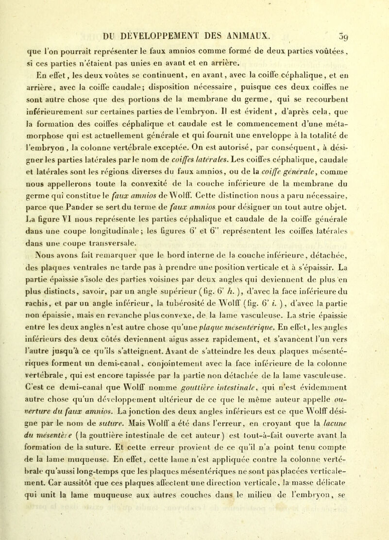 que l’on pourrait représenter le faux amnios comme formé de deux parties voûtées, si ces parties n’étaient pas unies en avant et en arrière. En effet, les deux voûtes se continuent, en avant, avec la coiffe céphalique, et en arrière, avec la coiffe caudale; disposition nécessaire, puisque ces deux coiffes ne sont autre chose que des portions de la membrane du germe, qui se recourbent inférieurement sur certaines parties de l’embryon. Il est évident , d’après cela, que la formation des coiffes céphalique et caudale est le commencement d’une méta- morphose qui est actuellement générale et qui fournit une enveloppe à la totalité de l’embryon , la colonne vertébrale exceptée. On est autorisé, par conséquent, à dési- gner les parties latérales parle nom de coiffes latérales. Les coiffes céphalique, caudale et latérales sont, les régions diverses du faux amnios, ou de la coiffe générale, comme nous appellerons toute la convexité de la couche inférieure de la membrane du germe qui constitue le faux amnios de Wolff. Cette distinction nous a paru nécessaire, parce que Pander se sert du terme de faux amnios pour désigner un tout autre objet. La figure VI nous représente les parties céphalique et caudale de la coiffe générale dans une coupe longitudinale; les figures 6’ et 6” représentent les coiffes latérales dans une coupe transversale. Nous avons fait remarquer que le bord interne de la couche inférieure, détachée, des plaques ventrales ne tarde pas à prendre une position verticale et à s’épaissir. La partie épaissie s’isole des parties voisines par deux angles qui deviennent de plus en plus distincts, savoir, par un angle supérieur (fig. 6’ h.), d’avec la face inférieure du rachis, et par un angle inférieur, la tubérosité de Wolff (fig. 6’ i. ), d’avec la partie non épaissie, mais en revanche plus convexe, de la lame vasculeuse. La strie épaissie entre les deux angles n’est autre chose qu’une plaque mésentérique. En effet, les angles inférieurs des deux côtés deviennent aigus assez rapidement, et s’avancent l’un vers l’autre jusqu’à ce qu’ils s’atteignent. Avant de s’atteindre les deux plaques mésenté- riques forment un demi-canal, conjointement avec la face inférieure de la colonne vertébrale, qui est encore tapissée par la partie non détachée de la lame vasculeuse. C’est ce demi-canal que Wolff nomme gouttière intestinale, qui n’est évidemment autre chose qu’un développement ultérieur de ce que le même auteur appelle ou- verture du faux amnios. La jonction des deux angles inférieurs est ce que Wolff dési- gne par le nom de suture. Mais Wolff a été dans l’erreur, en croyant que la lacune du mé sente : e (la gouttière intestinale de cet auteur) est tout-à-fait ouverte avant la formation de la suture. Et cette erreur provient de ce qu’il n’a point tenu compte de la lame muqueuse. En effet, cette lame n’est appliquée contre la colonne verté- brale qu’aussi long-temps que les plaques mésentériques ne sont pas placées verticale- ment. Car aussitôt que ces plaques affectent une direction verticale, la masse délicate qui unit la lame muqueuse aux autres couches dans le milieu de l’embryon, se