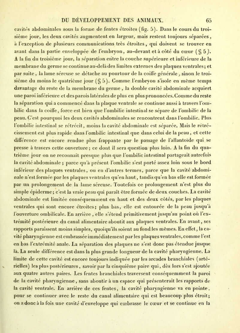 cavités abdominales sous la forme de fentes étroites (fig. 5). Dans le cours du troi- sième jour, les deux cavités augmentent en largeur, mais restent toujours séparées, à l’exception de plusieurs communications très étroites, qui doivent se trouver en avant dans la partie enveloppée de l’embryon, au-devant et à coté du cœur (§ 5J. A la fin du troisième jour, la séparation entre la couche supérieure et inférieure de la membrane du germe se continue au-delà des limites externes des plaques ventrales; et par suite, la lame séreuse se détache au pourtour de la coilfe générale _, sinon le troi- sième du moins le quatrième jour (§5). Comme l’embrjon s’isole en même temps davantage du reste de la membrane du germe , la double cavité abdominale acquiert une paroi inférieure et des parois latérales de plus en plus prononcées. Comme du reste la séparation qui a commencé dans la plaque ventrale se continue aussi à travers l’om- bilic dans la coilfe, force est bien que l’ombilic intestinal se sépare de l’ombilic de la peau. C’est pourquoi les deux cavités abdominales se rencontrent dans l’ombilic. Plus l’ombilic intestinal se rétrécit, moins la cavité abdominale est séparée. Mais le rétré- cissement est plus rapide dans l’ombilic intestinal que dans celui de la peau, et cette différence est encore rendue plus frappante par le passage de l’allantoïde qui se presse à travers cette ouverture; ce dont il sera question plus loin. A la fin du qua- trième jour on ne reconnaît presque plus que l’ombilic intestinal partageait autrefois la cavité abdominale ; parce qu’à présent l’ombilic s’est porté assez loin sous le bord inférieur des plaques ventrales, ou en d’autres termes, parce que la cavité abdomi- nale n’est formée par les plaques ventrales qu’en haut, tandis qu’en bas elle est formée par un prolongement de la lame séreuse. Toutefois ce prolongement n’est plus du simple épiderme; c’est la vraie peau qui paraît être formée de deux couches. La cavité abdominale est limitée conséquemment en haut et des deux côtés, par les plaques ventrales qui sont encore étroites; plus bas, elle est entourée de la peau jusqu’à l’ouverture ombilicale. En arrière , elle s’étend primitivement jusqu’au point où l’ex- trémité postérieure du canal alimentaire aboutit aux plaques ventrales. En avant, ses rapports paraissent moins simples, quoiqu’ils soient au fond les mêmes. En effet, la ca- vité pharyngienne est embrassée immédiatement par les plaques ventrales, comme l’est en bas l’extrémité anale. La séparation des plaques ne s’est donc pas étendue jusque là. La seule différence est dans la plus grande longueur de la cavité pharyngienne. La limite de cette cavité est encore toujours indiquée par les arcades branchiales (arté- rielles) les plus postérieures , savoir par la cinquième paire qui, dès lors s’est ajoutée aux quatre autres paires. Les fentes branchiales traversent conséquemment la paroi de la cavité pharyngienne , sans aboutir à un espace qui présenterait les rapports de la cavité ventrale. En arrière de ces fentes, la cavité pharyngienne va en pointe, pour se continuer avec le reste du canal alimentaire qui est beaucoup plus étroit; on a donc à la fois une cavité d’enveloppe qui embrasse le cœur et se continue en la