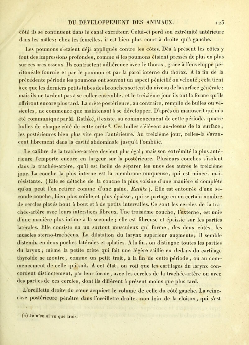 côté ils se continuent dans le canal excréteur. Celui-ci perd son extrémité antérieure dans les mâles; chez les femelles, il est bien plus court à droite qu’à gauche. Les poumons s’étaient déjà appliqués contre les côtes. Dès à présent les côtes y font des impressions profondes, comme si les poumons étaient pressés de plus en plus sur ces arcs osseux. Ils contractent adhérence avec le thorax, grâce à l’enveloppe pé- ritonéale fournie et par le poumon et par la paroi interne du thorax. A la fin de la précédente période les poumons ont souvent un aspect pénicillé ou velouté ; cela tient à ce que les derniers petits tubes des bronches sortent du niveau de la surface générale ; mais ils ne tardent pas à se coller ensemble, et le treiziéme jour ils ont la forme qu’ils offriront encore plus tard. La crête postérieure, au contraire, remplie de bulles ou vé- sicules, ne commence que maintenanlà se développer. D’après un manuscrit qui m’a été communiqué par M. Rathké, il existe, au commencement de cette période, quatre bulles de chaque côté de cette crête1. Ces bulles s’élèvent au-dessus de la surface ; les postérieures bien plus vite que l’antérieure. Au treiziéme jour, celles-là s’avan- cent librement dans la cavité abdominale jusqu’à l’ombilic. Le calibre de la trachée-artère devient plus égal ; mais son extrémité la plus anté- rieure l’emporte encore en largeur sur la postérieure. Plusieurs couches s’isolent dans la trachée-artère, qu’il est facile de séparer les unes des autres le treiziéme jour. La couche la plus interne est la membrane muqueuse, qui est mince, mais résistante. (Elle se détache de la couche la plus voisine d’une manière si complète qu’on peut l’en retirer comme d’une gaine. Rathké). Elle est entourée d’une se- conde couche, bien plus solide et plus épaisse, qui se partage en un certain nombre de cercles placés bout à bout et à de petits intervalles. Ce sont les cercles de la tra- chée-artère avec leurs interstices fibreux. Une troisième couche, l’externe, est unie d’une manière plus intime à la seconde ; elle est fibreuse et épaissie sur les parties latérales. Elle consiste en un surtout musculeux qui forme, des deux côtés, les muscles sterno-trachéens. La dilatation du larynx supérieur augmente; il semble distendu en deux poches latérales et aplaties. A la fin, on distingue toutes les parties du larynx; même la petite crête qui fait une légère saillie en dedans du cartilage thyroïde se montre, comme un petit trait, à la fin de cette période, ou au com- mencement de celle qui suit. A cet état, on voit que les cartilages du larynx con- cordent distinctement, par leur forme, avec les cercles de la trachée-artère ou avec des parties de ces cercles, dont ils diffèrent à présent moins que plus tard. L oreillette droite du cœur acquiert le volume de celle du côté gauche. La veine- cave postérieure pénètre dans l’oreillette droite, non loin de la cloison, qui s’est 0) Je n’en ai vu que trois.