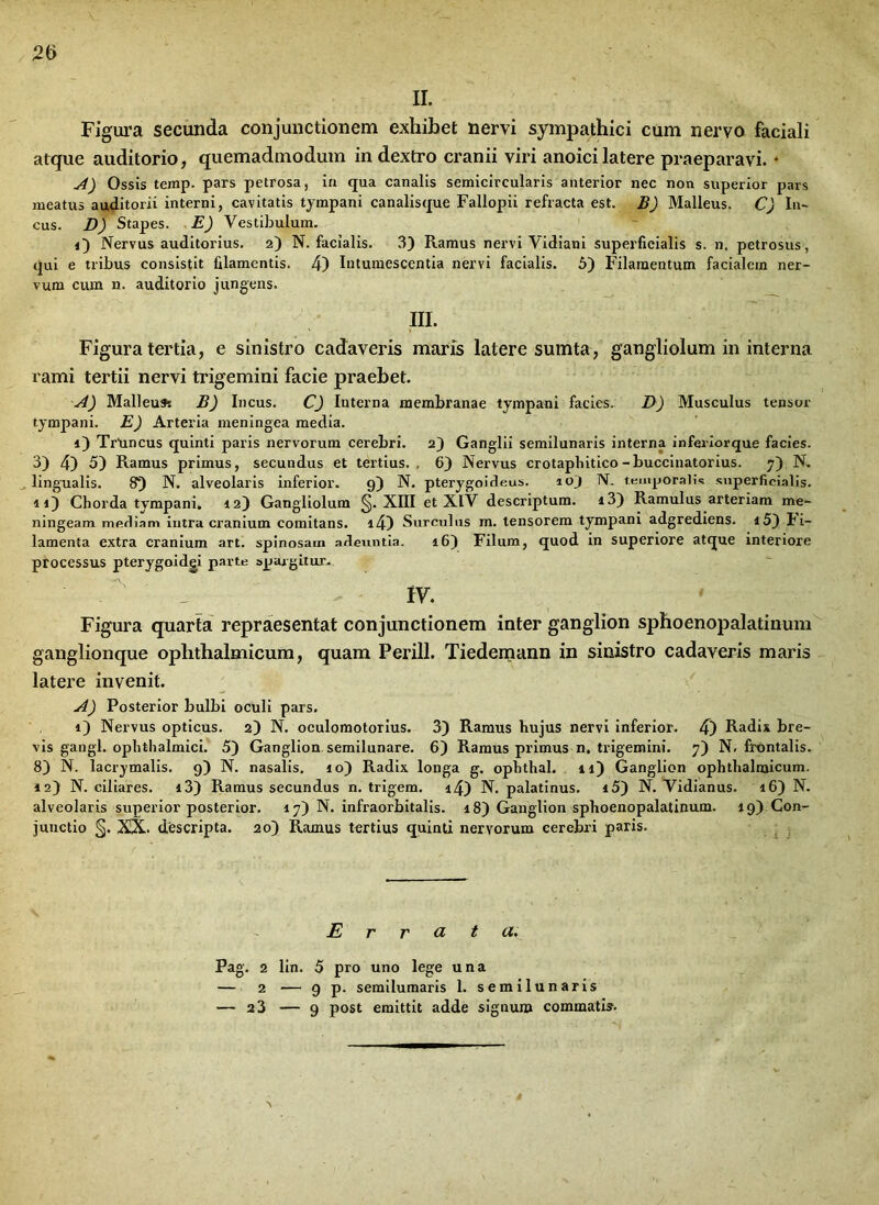 II. Figura secunda conjunctionem exhibet nervi sympathici cum nervo faciali atque auditorio, quemadmodum in dextro cranii viri anoicilatere praeparavi. • A) Ossis temp. pars petrosa, in qua canalis semicircularis anterior nec non superior pars meatus auditorii interni, cavitatis tympani canalisque Fallopii refracta est. B) Malleus. C) In- cus. D) Stapes. E) Vestibulum. d) Nervus auditorius. 2) N. facialis. 3) Ramus nervi Vidiani superficialis s. n. petrosus, qui e tribus consistit filamentis. 4) Intumescentia nervi facialis. 5) Filamentum facialem ner- vum cum n. auditorio jungens. III. Figura tertia, e sinistro cadaveris maris latere sumta, gangliolum in interna rami tertii nervi trigemini facie praebet. A) Malleum B) Incus. C) Interna membranae tympani facies. D) Musculus tensor tympani. E) Arteria meningea media. d) TrUncus quinti paris nervorum cerebri. 2) Ganglii semilunaris interna inferiorque facies. 3) 4) 5) Ramus primus, secundus et tertius.. 6) Nervus crotapbitico-buccinatorius. 7). N. lingualis. 8) N. alveolaris inferior. 9) N. pterygoideus. 10} N. temporalis superficialis, id) Chorda tympani. 12) Gangliolum §. XIII et XIV descriptum. i3) Ramulus arteriam me- ningeam mediam intra cranium comitans. i4) Surculus m. tensorem tympani adgrediens. i5) fi- lamenta extra cranium art. spinosam adeuntia. 16) Filum, quod in superiore atque interiore processus pterygoidei parte spargitur. IV. Figura quarta repraesentat conjunctionem inter ganglion sphoenopalatinum ganglionque ophthalmicum, quam Perili. Tiedemann in sinistro cadaveris maris latere invenit. A) Posterior bulbi oculi pars. 1) Nervus opticus. 2) N. oculomotorius. 3) Ramus hujus nervi inferior. 4) Radix bre- vis gangl. ophthalmici. 5) Ganglion semilunare. 6) Ramus primus n. trigemini. 7) N. frontalis. 8) N. lacrymalis. 9) N. nasalis. 10) Radix longa g. ophthal. 11) Ganglion ophthalmicum. 12) N. ciliares. i3) Ramus secundus n. trigem. i4) N. palatinus. i5) N. Vidianus. 16) N. alveolaris superior posterior. 17) N. infraorbitalis. 18) Ganglion sphoenopalatinum. 19) Con- junctio §. XX. descripta. 20) Ramus tertius quinti nervorum cerebri paris. Errata. Pag. 2 lin. 5 pro uno lege una — 2 — 9 p. semilumaris 1. semilunaris — 2 3 — 9 post emittit adde signum commatis.