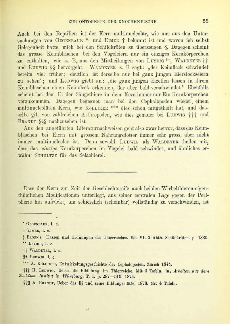 Auch bei den Reptilien ist der Kern multinucleolär, wie uns aus den Unter- suchungen von Gegenbaur * und Eimer f bekannt ist und wovon ich selbst Gelegenheit hatte, mich bei den Schildkröten zu überzeugen §. Dagegen scheint das grosse Keimbläschen bei den Vogeleiern nur ein einziges Kernkörperchen zu enthalten, wie z. B, aus den Mittheilungen von Leydig * * ** * * §§, Waldeyer ff und Ludwig §§ hervorgeht. Waldeyer z. B sagt: „der Keimfleck schwindet bereits viel früher; deutlich ist derselbe nur bei ganz jungen Eierstockseiern zu sehen”; und Ludwig giebt an: „die ganz jungen Eizellen lassen in ihrem Keimbläschen einen Keimfleck erkennen, der aber bald verschwindet.” Ebenfalls scheint bei dem Ei der Säugethiere in dem Kern immer nur Ein Kernkörperchen vorzukommen. Dagegen begegnet man bei den Cephalopoden wieder, einem multinucleolären Kern, wie Kolliker *** * * §§§ dies schon mitgetlieilt hat, und das- selbe gilt von zahlreichen Arthropoden, wie dies genauer bei Ludwig fff und Brandt §§§ nachzusehen ist. Aus den angeiührten Literaturnachweisen geht also zwar hervor, dass das Keim- bläschen bei Eiern mit grossem Nahrungsdotter immer sehr gross, aber nicht immer multinucleolär ist. Denn sowohl Ludwig als Waldeyer theilen mit, dass das einzige Kernkörperchen im Vogelei bald schwindet, und ähnliches er- wähnt Schultze für das Selachierei. Dass der Kern zur Zeit der Geschlechtsreife auch bei den Wirbelthieren eigen- thümlichen Modificationen unterliegt, aus seiner centralen Lage gegen der Peri- pherie hin aufrückt, um scliiesslich (scheinbar) vollständig zu verschwinden, ist * Gegenbaur, 1. c. f Eimer, 1. c. § Bronn s Classen und Ordnungen des Thierreiehes. Bd. YI. 3 Abth. Schildkröten, p. 1880. ** Leydig, 1. c. ff Waldeyer, 1. c. §§ Ludwig, 1. c. A. Kölliker, Entwickelungsgeschichte der Cephalopoden. Zürich 1844. ttt fb Ludwig, Ueber die Eibildung im Thierreiche. Mit 3 Tafeln, in: Arbeiten aus dem Zool.Zoot. Institut in Würzburg. T. I. p. 287—510. 1874. §§§ A. Brandt, Ueber das Ei und seine Bildungsstätte. 1878. Mit 4 Tafeln.
