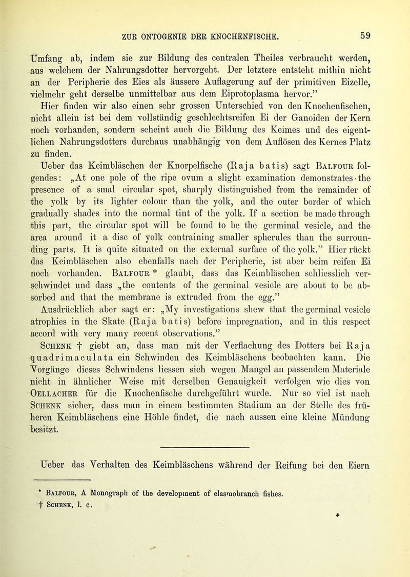 Umfang ab, indem sie zur Bildung des centralen Theiles verbraucht werden, aus welchem der Nahrungsdotter hervorgeht. Der letztere entsteht mithin nicht an der Peripherie des Eies als äussere Auflagerung auf der primitiven Eizelle, vielmehr geht derselbe unmittelbar aus dem Eiprotoplasma hervor.” Hier finden wir also einen sehr grossen Unterschied von den Knochenfischen, nicht allein ist bei dem vollständig geschlechtsreifen Ei der Ganoiden der Kern noch vorhanden, sondern scheint auch die Bildung des Keimes und des eigent- lichen Nahrungsdotters durchaus unabhängig von dem Auflösen des Kernes Platz zu finden. Ueber das Keimbläschen der Knorpelfische (Raja batis) sagt Balfour fol- gendes: „At one pole of the ripe ovum a slight examination demonstrates • the presence of a smal circular spot, sharply distinguished from the remainder of the yolk by its lighter colour than the yolk, and the outer border of which gradually shades into the normal tint of the yolk. If a section be made through this part, the circular spot will be found to be the germinal vesicle, and the area around it a disc of yolk contraining smaller spherules than the surroun- ding parts. It is quite situated on the external surface of the yolk.” Hier rückt das Keimbläschen also ebenfalls nach der Peripherie, ist aber beim reifen Ei noch vorhanden. Balfour * glaubt, dass das Keimbläschen schliesslich ver- schwindet und dass „the contents of the germinal vesicle are about to be ab- sorbed and that the membrane is extruded from the egg.” Ausdrücklich aber sagt er: „My investigations shew that the germinal vesicle atrophies in the Skate (Raja batis) before impregnation, and in this respect accord with very many recent observations.” Schenk f giebt an, dass man mit der Verflachung des Dotters bei Raja quadrimaculata ein Schwinden des Keimbläschens beobachten kann. Die Vorgänge dieses Schwindens Hessen sich wegen Mangel an passendem Materiale nicht in ähnlicher Weise mit derselben Genauigkeit verfolgen wie dies von Oellacher für die Knochenfische durchgeführt wurde. Nur so viel ist nach Schenk sicher, dass man in einem bestimmten Stadium an der Stelle des frü- heren Keimbläschens eine Höhle findet, die nach aussen eine kleine Mündung besitzt. Ueber das Verhalten des Keimbläschens während der Reifung bei den Eiern Balfour, A Monograph of the development of elasmobranch fishes. f Schenk, 1. c.