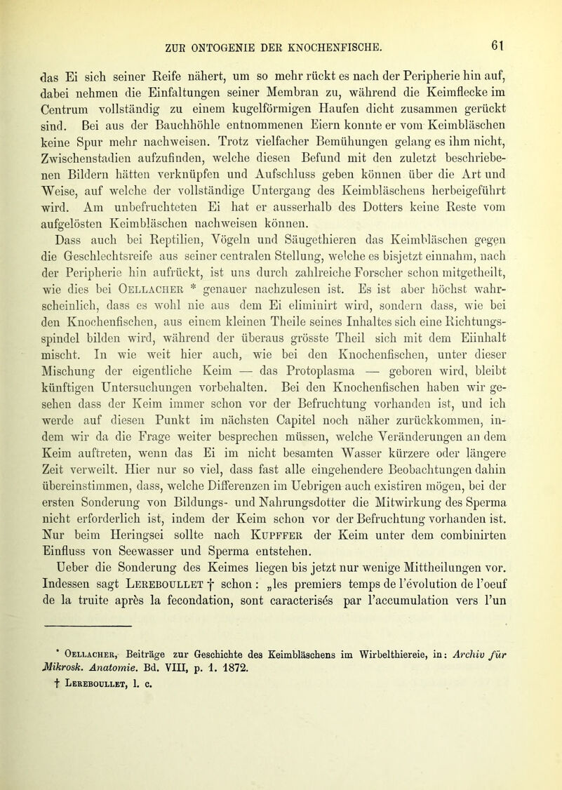 das Ei sich seiner Reife nähert, um so mehr rückt es nach der Peripherie hin auf, dabei nehmen die Einfaltungen seiner Membran zu, während die Keimflecke im Centrum vollständig zu einem kugelförmigen Haufen dicht zusammen gerückt sind. Bei aus der Bauchhöhle entnommenen Eiern konnte er vom Keimbläschen keine Spur mehr nachweisen. Trotz vielfacher Bemühungen gelang es ihm nicht, Zwischenstadien aufzufinden, welche diesen Befund mit den zuletzt beschriebe- nen Bildern hätten verknüpfen und Aufschluss geben können über die Art und Weise, auf welche der vollständige Untergang des Keimbläschens herbeigeführt wird. Am unbefruchteten Ei hat er ausserhalb des Dotters keine Reste vom aufgelösten Keimbläschen nachweisen können. Dass auch bei Reptilien, Vögeln und Säugethieren das Keimbläschen gegen die Geschlechtsreife aus seiner centralen Stellung, welche es bisjetzt einnahm, nach der Peripherie hin aufrückt, ist uns durch zahlreiche Forscher schon mitgetheilt, wie dies bei Oellacher * genauer nachzulesen ist. Es ist aber höchst wahr- scheinlich, dass es wohl nie aus dem Ei eliminirt wird, sondern dass, wie bei den Knochenfischen, aus einem kleinen Theile seines Inhaltes sich eine Richtungs- spindel bilden wird, während der überaus grösste Tlieil sich mit dem Eiinhalt mischt. In wie weit hier auch, wie bei den Knochenfischen, unter dieser Mischung der eigentliche Keim — das Protoplasma — geboren wird, bleibt künftigen Untersuchungen Vorbehalten. Bei den Knochenfischen haben wir ge- sehen dass der Keim immer schon vor der Befruchtung vorhanden ist, und ich werde auf diesen Punkt im nächsten Capitel noch näher zurückkommen, in- dem wir da die Frage weiter besprechen müssen, welche Veränderungen an dem Keim auftreten, wenn das Ei im nicht besamten Wasser kürzere oder längere Zeit verweilt. Hier nur so viel, dass fast alle eingehendere Beobachtungen dahin übereinstimmen, dass, welche Differenzen im Uebrigen auch existiren mögen, bei der ersten Sonderung von Bildungs- und Nahrungsdotter die Mitwirkung des Sperma nicht erforderlich ist, indem der Keim schon vor der Befruchtung vorhanden ist. Nur beim Heringsei sollte nach Kupffer der Keim unter dem combinirten Einfluss von Seewasser und Sperma entstehen. Ueber die Sonderung des Keimes liegen bis jetzt nur wenige Mittheilungen vor. Indessen sagt Lereboullet f schon : „les premiers temps de l’evolution de l'oeuf de la truite apres la fecondation, sont caracterises par l’accumulation vers l’un Oellacher, Beiträge zur Geschichte de3 Keimbläschens im Wirbelthiereie, in: Archiv für Mikrosk. Anatomie. Bd. VIH, p. 1. 1872. f Lereboullet, 1. c.