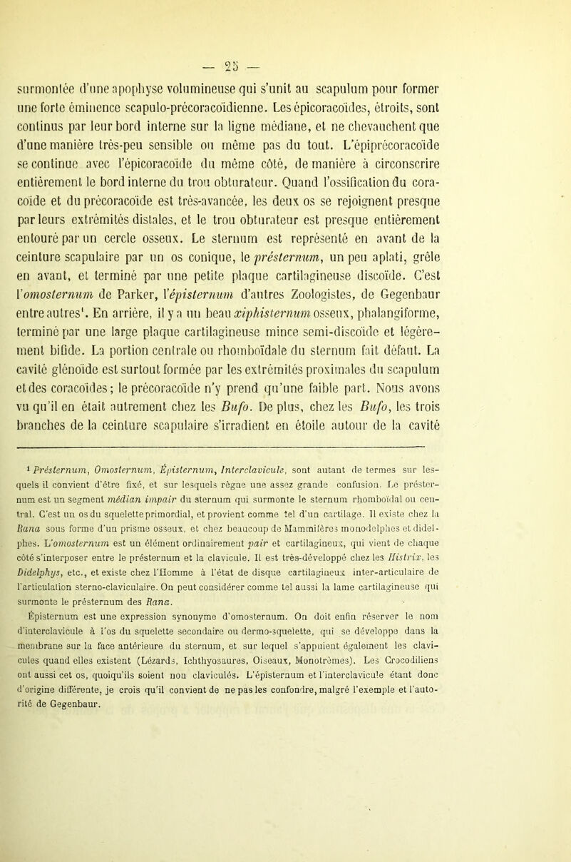 surmontée d’une apophyse volumineuse qui s’unit au scapulum pour former une forte éminence scapulo-précoraco'idienne. Les épicoracoules, étroits, sont continus par leur bord interne sur la ligne médiane, et ne chevauchent que d’une manière très-peu sensible ou même pas du tout. L’épiprécoracoïde se continue avec l’épicoraco'ide du même côté, de manière à circonscrire entièrement le bord interne du trou obturateur. Quand l’ossification du cora- coïde et du précoracoïde est très-avancée, les deux os se rejoignent presque parleurs extrémités distales, et le trou obturateur est presque entièrement entouré par un cercle osseux. Le sternum est représenté en avant de la ceinture scapulaire par un os conique, le présternum, un peu aplati, grêle en avant, et terminé par une petite plaque cartilagineuse discoïde. C’est 1 ’omosternum de Parker, 1 ’épisternum d’autres Zoologistes, de Gegenbaur entre autres1. En arrière, il y a un beau xiphisternum osseux, phalangiforme, terminé par une large plaque cartilagineuse mince semi-discoïde et légère- ment bifide. La portion centrale ou rbomboïdale du sternum fait défaut. La cavité glénoïde est surtout formée par les extrémités proximales du scapulum et des coracoïdes; le précoracoïde n’y prend qu’une faible part. Nous avons vu qu’il en était autrement chez les Bufo. De plus, chez les Bufo, les trois branches de la ceinture scapulaire s’irradient en étoile autour de la cavité 1 Présternum, Omosternum, Épisternum, lntcrclavicuh, sont autant de termes sur les- quels il convient d'être fixé, et sur lesquels règne une assez grande confusion. Le préster- num est un segment médian impair du sternum qui surmonte le sternum rhomboïdal ou cen- tral. C’est un os du squelette primordial, et provient comme tel d’un cartilage. Il existe chez la Rana sous forme d'un prisme osseux, et chez beaucoup de Mammifères monodelphes et didel- phes. L’omosternum est un élément ordinairement pair et cartilagineux, qui vient de chaque côté s’interposer entre le présternum et la clavicule. Il est très-développé chez les Histrix, les Didelphys, etc., et existe chez l'Homme à l'état de disque cartilagineux inter-articulaire de l’articulation sterno-claviculaire. On peut considérer comme tel aussi la lame cartilagineuse qui surmonte le présternum des Rana. Episternum est une expression synonyme d’omosternum. On doit enfin réserver le nom d'interclavicule à l’os du squelette secondaire ou dermo-squelette, qui se développe dans la membrane sur la face antérieure du sternum, et sur lequel s’appuient également les clavi- cules quand elles existent (Lézards, Ichthyosaures, Oiseaux, Monotrêmes). Les Crocodiliens ont aussi cet os, quoiqu’ils soient non claviculés. L’épisternum et l'interclavicule étant donc d’origine différente, je crois qu’il convient de ne pas les confondre, malgré l’exemple et l’auto- rité de Gegenbaur.