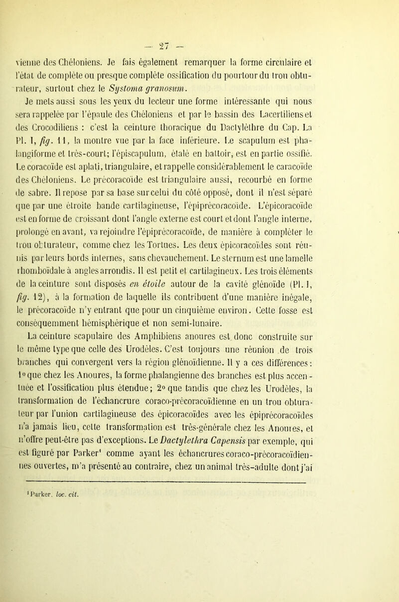 vienne des Chéloniens. Je fais également remarquer la forme circulaire et l’état de complète ou presque complète ossification du pourtour du trou obtu- rateur, surtout chez le Systoma granosum. Je mets aussi sous les yeux du lecteur une forme intéressante qui nous sera rappelée par l’épaule des Chéloniens et par le bassin des Lacertiliens et des Crocodiliens : c’est la ceinture thoracique du Daclylèlhre du Cap. La PL 1, fug. 11, la montre vue par la face inférieure. Le scapulum est pha- langiforme et très-court; l’épiscapulum, étalé en battoir, est en partie ossifié. Le coracoïde est aplati, triangulaire, et rappelle considérablement le caracoïde des Chéloniens. Le précoracoïde est triangulaire aussi, recourbé en forme de sabre. 11 repose par sa basesurcelui du côté opposé, dont il n’est séparé que par une étroite bande cartilagineuse, l’épiprécoracoïde. L’épicoracoïde est en forme de croissant dont l’angle externe est court et dont l’angle interne, prolongé en avant, va rejoindre l’épi précoracoïde, de manière à compléter le trou obturateur, comme chez les Tortues. Les deux épicoracoïdes sont réu- nis par leurs bords internes, sans chevauchement. Le sternum est une lamelle i homboïdale à angles arrondis. 11 est petit et cartilagineux. Les trois éléments de la ceinture sont disposés en étoile autour de la cavité glénoïde (PI. 1, fig. 12), à la formation de laquelle ils contribuent d’une manière inégale, le précoracoïde n’y entrant que pour un cinquième environ. Cette fosse est conséquemment hémisphérique et non semi-lunaire. La ceinture scapulaire des Amphibiens anoures est donc construite sur le même type que celle des Urodèles. C’est toujours une réunion de trois branches qui convergent vers la région glénoïdienne. Il y a ces différences; l°que chez les Anoures, la forme phalangienne des branches est plus accen - tuée et l’ossification plus étendue; 2° que tandis que chez les Urodèles, la transformation de l’échancrure coraco-précoracoïdienne en un trou obtura- teur par l’union cartilagineuse des épicoracoïdes avec les épi précoracoïdes n’a jamais lieu, celle transformation est très-générale chez les Anoures, et n’offre peut-être pas d’exceptions. Le Dactylelhra Capensis par exemple, qui est figuré par Parker' comme ayant les échancrures coraco-précoracoïdien- nes ouvertes, m’a présenté au contraire, chez un animal très-adulte dont j’ai ‘Parker, loc.cit.