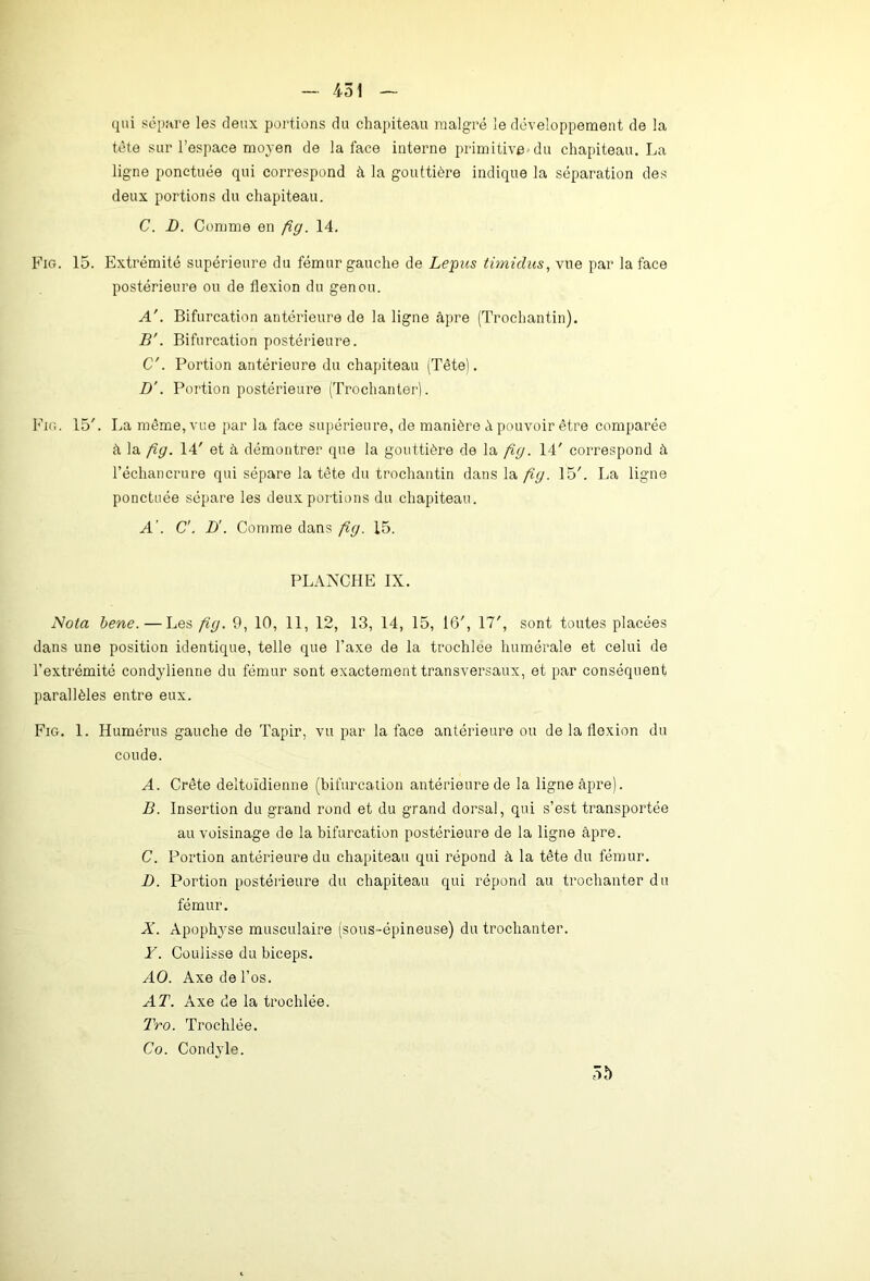 qui sépare les deux portions du chapiteau malgré le développement de la tète sur l’espace moyen de la face interne primitive du chapiteau. La ligne ponctuée qui correspond à la gouttière indique la séparation des deux portions du chapiteau. C. D. Comme en fg. 14. Fig. 15. Extrémité supérieure du fémur gauche de Lepus timidus, vue par la face postérieure ou de flexion du genou. A'. Bifurcation antérieure de la ligne âpre (Trochantin). B'. Bifurcation postérieure. C'. Portion antérieure du chapiteau (Tête). D’. Portion postérieure (Trochanter). Fig. 15'. La même, vue par la face supérieure, de manière à pouvoir être comparée à la fig. 14' et à démontrer que la gouttière de la fig. 14' correspond à l’échancrure qui sépare la tète du trochantin dans la fig. 15'. La ligne ponctuée sépare les deux portions du chapiteau. A’. C'. B'. Comme dans fig. 15. PLANCHE IX. Nota bene. — Les fig. 9, 10, 11, 12, 13, 14, 15, 10', 17', sont toutes placées dans une position identique, telle que l’axe de la trochlee humérale et celui de l’extrémité condylienne du fémur sont exactement transversaux, et par conséquent parallèles entre eux. Fig. 1. Humérus gauche de Tapir, vu par la face antérieure ou de la flexion du coude. A. Crête deltoïdienne (bifurcation antérieure de la ligne âpre). B. Insertion du grand rond et du grand dorsal, qui s’est transportée au voisinage de la bifurcation postérieure de la ligne âpre. C. Portion antérieure du chapiteau qui répond à la tête du fémur. D. Portion postérieure du chapiteau qui répond au trochanter du fémur. X. Apophyse musculaire (sous-épineuse) du trochanter. Y. Coulisse du biceps. AO. Axe de l’os. AT. Axe de la trochlée. Tro. Trochlée. Co. Condyle. 55