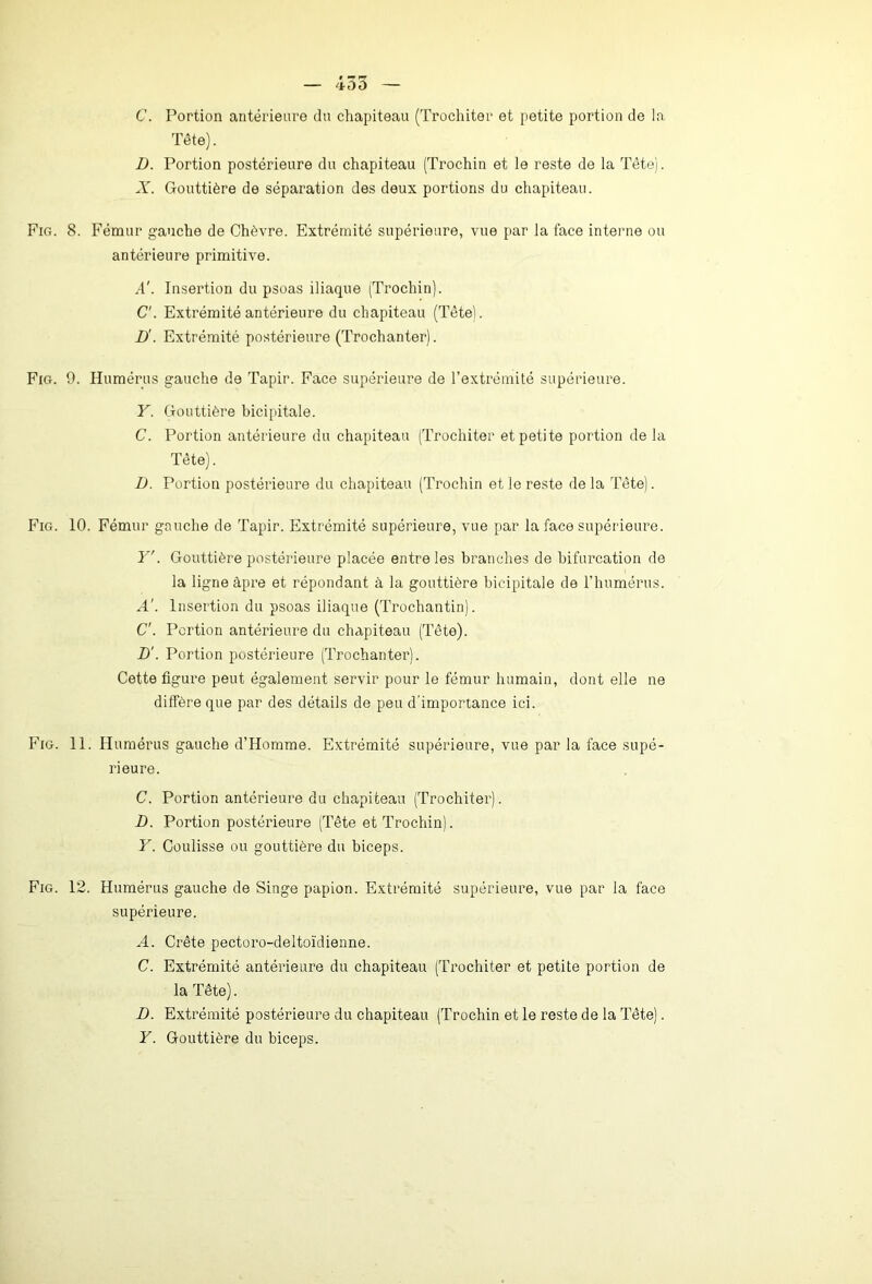 455 C. Portion antérieure du chapiteau (Trochiter et petite portion de la Tête). D. Portion postérieure du chapiteau (Trochin et le reste de la Tète). X. Gouttière de séparation des deux portions du chapiteau. Fig. 8. Fémur gauche de Chèvre. Extrémité supérieure, vue par la face interne ou antérieure primitive. A'. Insertion du psoas iliaque (Trochin). C'. Extrémité antérieure du chapiteau (Tète). D'. Extrémité postérieure (Trochanter). Fig. 9. Humérus gauche de Tapir. Face supérieure de l’extrémité supérieure. Y. Gouttière bicipitale. C. Portion antérieure du chapiteau (Trochiter et petite portion de la Tête). D. Portion postérieure du chapiteau (Trochin et le reste de la Tête). Fig. 10. Fémur gauche de Tapir. Extrémité supérieure, vue par la face supérieure. Y'. Gouttière postérieure placée entre les branches de bifurcation de la ligne âpre et répondant à la gouttière bicipitale de l’humérus. A'. Insertion du psoas iliaque (Trochantin). C'. Portion antérieure du chapiteau (Tète). D'. Portion postérieure (Trochanter). Cette figure peut également servir pour le fémur humain, dont elle ne diffère que par des détails de peu d’importance ici. Fig. 11. Humérus gauche d’Homme. Extrémité supérieure, vue par la face supé- rieure. C. Portion antérieure du chapiteau (Trochiter). i). Portion postérieure (Tête et Trochin). Y. Coulisse ou gouttière du biceps. Fig. 12. Humérus gauche de Singe papion. Extrémité supérieure, vue par la face supérieure. A. Crête pectoro-deltoïdienne. C. Extrémité antérieure du chapiteau (Trochiter et petite portion de la Tête). D. Extrémité postérieure du chapiteau (Trochin et le reste de la Tête). Y. Gouttière du biceps.