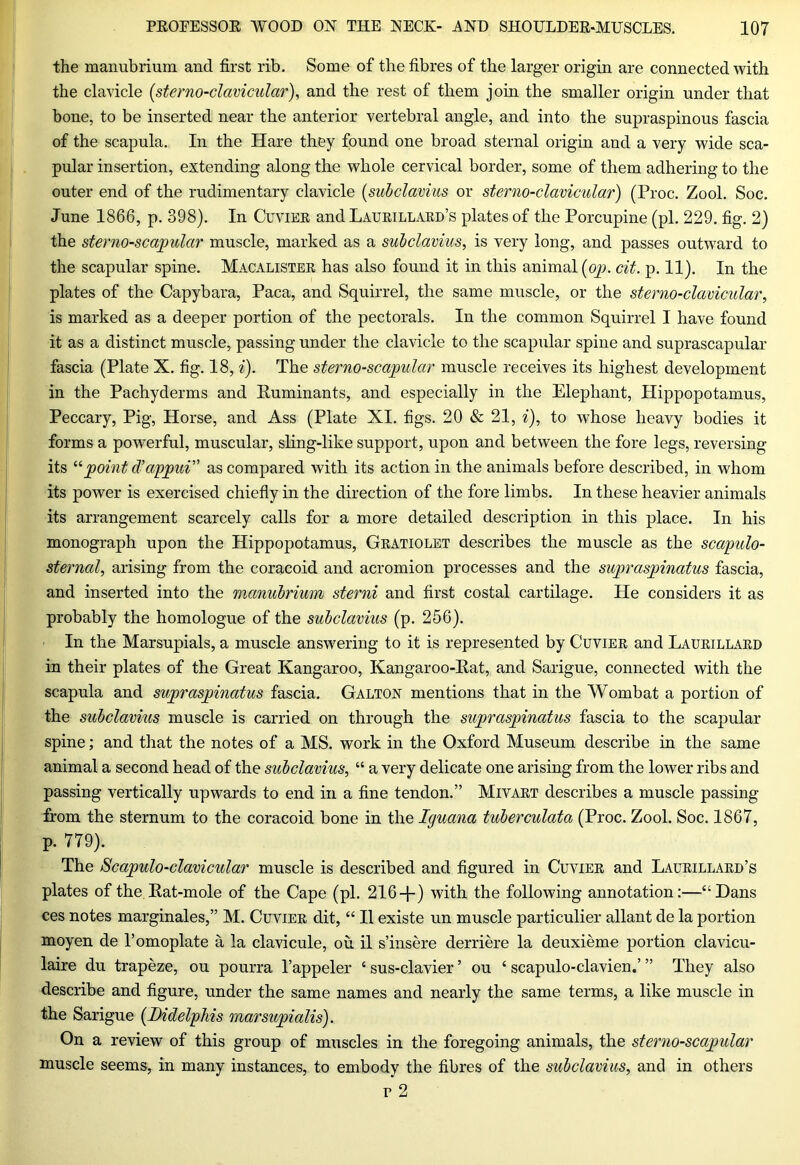 the manubrium and first rib. Some of the fibres of the larger origin are connected with the clavicle (sterno-clavicular), and the rest of them join the smaller origin under that bone, to be inserted near the anterior vertebral angle, and into the supraspinous fascia of the scapula. In the Hare they found one broad sternal origin and a very wide sca- pular insertion, extending along the whole cervical border, some of them adhering to the outer end of the rudimentary clavicle (subclavius or sterno-clavicular) (Proc. Zool. Soc. June 1866, p. 398). In Cuvier and Laurillaed’s plates of the Porcupine (pi. 229. fig. 2) the sterno-scapular muscle, marked as a subclavius, is very long, and passes outward to the scapular spine. Macalister has also found it in this animal (op. cit. p. 11). In the plates of the Capybara, Paca, and Squirrel, the same muscle, or the sterno-clavicular, is marked as a deeper portion of the pectorals. In the common Squirrel I have found it as a distinct muscle, passing under the clavicle to the scapular spine and suprascapular fascia (Plate X. fig. 18, i). The sterno-scapular muscle receives its highest development in the Pachyderms and Ruminants, and especially in the Elephant, Hippopotamus, Peccary, Pig, Horse, and Ass (Plate XI. figs. 20 & 21, i), to whose heavy bodies it forms a powerful, muscular, sling-like support, upon and between the fore legs, reversing its “point d’appui” as compared with its action in the animals before described, in whom its power is exercised chiefly in the direction of the fore limbs. In these heavier animals its arrangement scarcely calls for a more detailed description in this place. In his monograph upon the Hippopotamus, Gratiolet describes the muscle as the scapulo- sterncd, arising from the coracoid and acromion processes and the supraspinatus fascia, and inserted into the manubrium sterni and first costal cartilage. He considers it as probably the homologue of the subclavius (p. 256). In the Marsupials, a muscle answering to it is represented by Cuvier and Laurillard in their plates of the Great Kangaroo, Kangaroo-Rat, and Sarigue, connected with the scapula and supraspinatus fascia. Galtox mentions that in the Wombat a portion of the subclavius muscle is carried on through the supraspinatus fascia to the scapular spine; and that the notes of a MS. work in the Oxford Museum describe in the same animal a second head of the subclavius, “ a very delicate one arising from the lower ribs and passing vertically upwards to end in a fine tendon.” Mivart describes a muscle passing from the sternum to the coracoid bone in the Iquana tuberculata (Proc. Zool. Soc. 1867, p. 779). The Scapulo-clavicular muscle is described and figured in Cuvier and Laurillard’s plates of the Rat-mole of the Cape (pi. 216+) with the following annotation:—“Dans ces notes marginales,” M. Cuvier dit, “ II existe un muscle particular allant de la portion moyen de l’omoplate a la clavicule, ou il s’insere derriere la cleuxieme portion clavicu- laire du trapeze, ou pourra l’appeler ‘ sus-clavier ’ ou ‘ scapulo-clavien.’ ” They also describe and figure, under the same names and nearly the same terms, a like muscle in the Sarigue (Didelphis marsupialis). On a review of this group of muscles in the foregoing animals, the sterno-scapular muscle seems, in many instances, to embody the fibres of the subclavius, and in others r 2