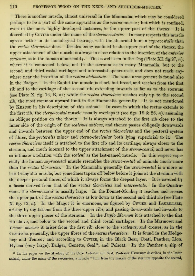 There is another muscle, almost universal in the Mammalia, which may be considered perhaps to be a part of the same apparatus as the rectus muscle; but which is confined, even in the most highly developed instances, to the upper part of the thorax. It is described by Cuvier under the name of the sterno-costalis. In many respects this muscle agrees better in its homological bearings with the abnormal human supracostalis than the rectus thoracicus does. Besides being confined to the upper part of the thorax, the upper attachment of the muscle is always in close relation to the insertion of the anterior scalenus, as in the human abnormality. This is well seen in the Dog (Plate XI. fig.27, n), where it is connected below, not to the sternum as in many Mammalia, but to the second and third costal cartilages and intercostal aponeurosis, and does not reach any- where near the insertion of the rectus abdominis. The same arrangement is found also in the Badger. In the Rabbit the muscle is short, but broad, and reaches from the first rib and to the cartilage of the second rib, extending inwards as far as to the sternum (see Plate X. fig. 16, B, n); while the rectus thoracicus reaches only up to the second rib, the most common upward limit in the Mammalia generally. It is not mentioned by Krause in his description of this animal. In cases in which the rectus extends to the first rib, the sterno-costal muscle usually overlaps it (see figs. 18 & 26, n), assuming an oblique position on the thorax. It is always attached to the first rib close to the inner side of the origin of the scalenus anticus, and thence passes obliquely downwards and inwards between the upper end of the rectus thoracicus and the pectoral system of fibres, the 'pectoralis minor and sterno-clavicular both lying superficial to it. The rectus thoracicus itself is attached to the first rib and its cartilage, always closer to the sternum, and much internal to the upper attachment of the sterno-costal, and never has so intimate a relation with the scaleni as the last-named muscle. In this respect espe- cially the human supracostal muscle resembles the sterno-costal of animals much more than the rectus thoracicus. In the Mammalia generally the sterno-costal is a more or less triangular muscle, but sometimes tapers otf below before it joins at the sternum with the deeper pectoral fibres, of which it always forms the deepest layer. It is covered by a fascia derived from that of the rectus thoracicus and intercostals. In the Quadru- mana the sterno-costal is usually large. In the Bonnet-Monkey it reaches and crosses the upper part of the rectus thoracicus as low down as the second and third rib (see Plate X. fig. 12, n). In the Magot it is enormous, as figured by Cuvier and Laukillard, arising by digitations from the three upper ribs, and passing downwards and inwards to the three upper pieces of the sternum. In the Pajpio Mormon it is attached to the first rib above, and below to the second and third costal cartilages. In the Marmoset and Lemur macaco it arises from the first rib close to the scalenus, and crosses, as in the Carnivora generally, the upper fibres of the rectus thoracicus. It is found in the Hedge- hog and Tenrec; and according to Cuvier, in the Black Bear, Coati, Panther, Lion, Hyaena (very large), Badger, Genette, Seal*, and Polecat. In the Panther a slip of * In his paper on the Myology of the Cape Anteater and Seal, Professor Humphry describes, in the latter animal, under the name of the subclavius, a muscle “ thin from the margin of the sternum opposite the second.