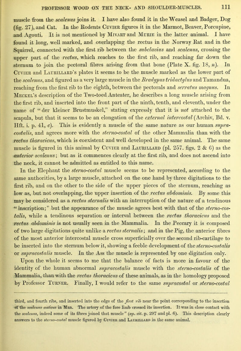 muscle from the scalenus joins it. I have also found it in the Weasel and Badger, Dog (fig. 27), and Cat. In the Rodents Cuvier figures it in the Marmot, Beaver, Porcupine, and Agouti. It is not mentioned by Mivart and Murie in the latter animal. I have found it long, well marked, and overlapping the rectus in the Norway Rat and in the Squirrel, connected with the first rib between the subclavius and scalenus, crossing the upper part of the rectus, which reaches to the first rib, and reaching far down the sternum to join the pectoral fibres arising from that bone (Plate X. fig. 18, n). In Cuvier and Laurillard’s plates it seems to be the muscle marked as the lower part of the scalenus, and figured as a very large muscle in the JBradypus tridactylus and Tamandua, reaching from the first rib to the eighth, between the pectorals and serratus magnus. In Meckel’s description of the Two-toed Anteater, he describes a long muscle arising from the first rib, and inserted into the front part of the ninth, tenth, and eleventh, under the name of “ der kleiner Brustmuskel,” stating expressly that it is not attached to the scapula, but that it seems to be an elongation of the external intercostal (Archiv, Bd. v. Hft. i. p. 41, c). This is evidently a muscle of the same nature as our human supra- costalis, and agrees more with the sterno-cosial of the other Mammalia than with the rectus thoracicus, which is coexistent and well developed in the same animal. The same muscle is figured in this animal by Cuvier and Laurillard (pi. 257. figs. 2 & 6) as the anterior scalenus; but as it commences clearly at the first rib, and does not ascend into the neck, it cannot be admitted as entitled to this name. In the Elephant the sterno-costal muscle seems to be represented, according to the same authorities, by a large muscle, attached on the one hand by three digitations to the first rib, and on the other to the side of the upper pieces of the sternum, reaching as low as, but not overlapping, the upper insertion of the rectus abdominis. By some this may be considered as a rectus sternalis with an interruption of the nature of a tendinous inscription;” but the appearance of the muscle agrees best with that of the sterno-cos- talis, while a tendinous separation or interval between the rectus thoracicus and the rectus abdominis is not usually seen in the Mammalia. In the Peccary it is composed of two large digitations quite unlike a rectus sternalis; and in the Pig, the anterior fibres of the most anterior intercostal muscle cross superficially over the second rib-cartilage to be inserted into the sternum below it, showing a feeble development of the sterno-costalis or supracostalis muscle. In the Ass the muscle is represented by one cligitation only. Upon the whole it seems to me that the balance of facts is more in favour of the identity of the human abnormal supracostalis muscle with the sterno-costalis of the Mammalia, than with the rectus thoracicus of these animals, as in the homology proposed by Professor Turner. Finally, I would refer to the same supracostal or sterno-costal third, and fourth ribs, and inserted into the edge of the first rib near the point corresponding to the insertion of the scalenus anticus in Man. The artery of the fore limb crossed its insertion. It was in close contact with the scalenus, indeed some of its fibres joined that muscle” (op. cit. p. 297 and pi. 6). This description clearly answers to the sterno-costal muscle figured by Cuvier and Laurillard in the same animal.