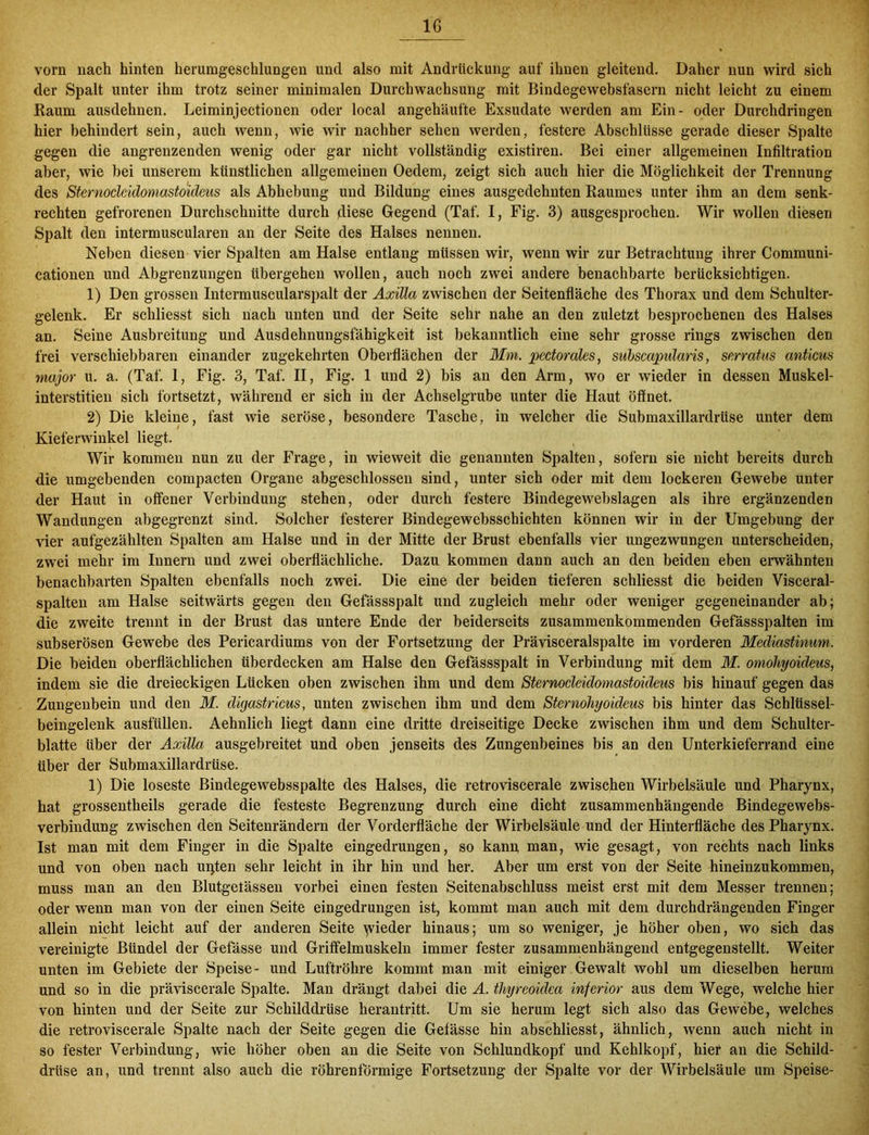 vorn nach hinten herumgeschlungen uncl also mit Andrtickung auf ihnen gleitend. Daher nun wird sich der Spalt unter ihm trotz seiner minimalen Durchwachsung mit Bindegewebsfasern nicht leicht zu einem Raum ausdehnen. Leiminjectionen oder local angehäufte Exsudate werden am Ein- oder Durchdringen hier behindert sein, auch wenn, wie wir nachher sehen werden, festere Abschlüsse gerade dieser Spalte gegen die angrenzenden wenig oder gar nicht vollständig existiren. Bei einer allgemeinen Infiltration aber, wie hei unserem künstlichen allgemeinen Oedem, zeigt sich auch hier die Möglichkeit der Trennung des Sternocleidomastoideus als Abhebung und Bildung eines ausgedehnten Raumes unter ihm an dem senk- rechten gefrorenen Durchschnitte durch diese Gegend (Taf. I, Fig. 3) ausgesprochen. Wir wollen diesen Spalt den intermuscularen an der Seite des Halses nennen. Neben diesen vier Spalten am Halse entlang müssen wir, wenn wir zur Betrachtung ihrer Communi- cationen und Abgrenzungen übergehen wollen, auch noch zwei andere benachbarte berücksichtigen. 1) Den grossen Intermuscularspalt der Axilla zwischen der Seitenfläche des Thorax und dem Schulter- gelenk. Er schliesst sich nach unten und der Seite sehr nahe an den zuletzt besprochenen des Halses an. Seine Ausbreitung und Ausdehnungsfähigkeit ist bekanntlich eine sehr grosse rings zwischen den frei verschiebbaren einander zugekehrten Oberflächen der Mm. pectorales, suhscapidaris, serratus anticus major u. a. (Taf. 1, Fig. 3, Taf. II, Fig. 1 und 2) bis an den Arm, wo er wieder in dessen Muskel- interstitien sich fortsetzt, während er sich in der Achselgrube unter die Haut öffnet. 2) Die kleine, fast wie seröse, besondere Tasche, in welcher die Submaxillardrüse unter dem Kieferwinkel liegt. Wir kommen nun zu der Frage, in wieweit die genannten Spalten, sofern sie nicht bereits durch die umgebenden compacten Organe abgeschlossen sind, unter sich oder mit dem lockeren Gewebe unter der Haut in offener Verbindung stehen, oder durch festere Bindegewebslagen als ihre ergänzenden Wandungen abgegrenzt sind. Solcher festerer Bindegewebsschichten können wir in der Umgebung der vier aufgezählten Spalten am Halse und in der Mitte der Brust ebenfalls vier ungezwungen unterscheiden, zwei mehr im Innern und zwei oberflächliche. Dazu kommen dann auch an den beiden eben erwähnten benachbarten Spalten ebenfalls noch zwei. Die eine der beiden tieferen schliesst die beiden Visceral- spalten am Halse seitwärts gegen den Gefässspalt und zugleich mehr oder weniger gegeneinander ab; die zweite trennt in der Brust das untere Ende der beiderseits zusammenkommenden Gefässspalten im subserösen Gewebe des Pericardiums von der Fortsetzung der Prävisceralspalte im vorderen Mediastinum. Die beiden oberflächlichen überdecken am Halse den Gefässspalt in Verbindung mit dem M. omohyoideus, indem sie die dreieckigen Lücken oben zwischen ihm und dem Sternocleidomastoideus bis hinauf gegen das Zungenbein und den M. digastricus, unten zwischen ihm und dem Sternoliyoideus bis hinter das Schlüssel- beingelenk ausfüllen. Aehnlich liegt dann eine dritte dreiseitige Decke zwischen ihm und dem Schulter- blatte über der Axilla ausgebreitet und oben jenseits des Zungenbeines bis an den Unterkieferrand eine über der Submaxillardrüse. 1) Die loseste Bindegewebsspalte des Halses, die retroviscerale zwischen Wirbelsäule und Pharynx, hat grossentheils gerade die festeste Begrenzung durch eine dicht zusammenhängende Bindegewebs- verbindung zwischen den Seitenrändern der Vorderfläche der Wirbelsäule und der Hinterfläche des Pharynx. Ist man mit dem Finger in die Spalte eingedrungen, so kann man, wie gesagt, von rechts nach links und von oben nach uqten sehr leicht in ihr hin und her. Aber um erst von der Seite hineinzukommen, muss man an den Blutgelässen vorbei einen festen Seitenabschluss meist erst mit dem Messer trennen; oder wenn man von der einen Seite eingedrungen ist, kommt man auch mit dem durchdrängenden Finger allein nicht leicht auf der anderen Seite \vieder hinaus; um so weniger, je höher oben, wo sich das vereinigte Bündel der Gelasse und Griffelmuskeln immer fester zusammenhängend entgegenstellt. Weiter unten im Gebiete der Speise- und Luftröhre kommt man mit einiger Gewalt wohl um dieselben herum und so in die präviscerale Spalte. Man drängt dabei die A. thyreoidea inferior aus dem Wege, welche hier von hinten und der Seite zur Schilddrüse herantritt. Um sie herum legt sich also das Gewebe, welches die retroviscerale Spalte nach der Seite gegen die Gefässe hin abschliesst, ähnlich, wenn auch nicht in so fester Verbindung, wie höher oben an die Seite von Schlundkopf und Kehlkopf, hier an die Schild- drüse an, und trennt also auch die röhrenförmige Fortsetzung der Spalte vor der Wirbelsäule um Speise-