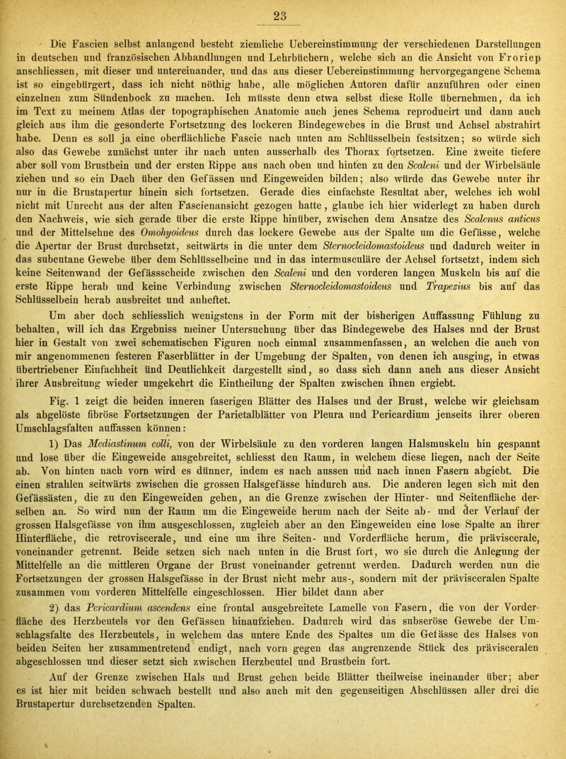 Die Fascien selbst anlangend besteht ziemliche Uebereinstimmung der verschiedenen Darstellungen in deutschen und französischen Abhandlungen und Lehrbüchern, welche sich an die Ansicht von Froriep anschliessen, mit dieser und untereinander, und das aus dieser Uebereinstimmung hervorgegangene Schema ist so eingebürgert, dass ich nicht nöthig habe, alle möglichen Autoren dafür anzuführen oder einen einzelnen zum Sündenbock zu machen. Ich müsste denn etwa selbst diese Rolle übernehmen, da ich im Text zu meinem Atlas der topographischen Anatomie auch jenes Schema reproducirt und dann auch gleich aus ihm die gesonderte Fortsetzung des lockeren Bindegewebes in die Brust und Achsel abstrahirt habe. Denn es soll ja eine oberflächliche Fascie nach unten am Schlüsselbein festsitzen; so würde sich also das Gewebe zunächst unter ihr nach unten ausserhalb des Thorax fortsetzen. Eine Zweite tiefere aber soll vom Brustbein und der ersten Rippe aus nach oben und hinten zu den Scaleni und der Wirbelsäule ziehen und so ein Dach über den Gefässen und Eingeweiden bilden; also würde das Gewebe unter ihr nur in die Brustapertur hinein sich fortsetzen. Gerade dies einfachste Resultat aber, welches ich wohl nicht mit Unrecht aus der alten Fäscienansicht gezogen hatte, glaube ich hier widerlegt zu haben durch den Nachweis, wie sich gerade Uber die erste Rippe hinüber, zwischen dem Ansätze des Scalenus anticus und der Mittelsehne des Omohyoideus durch das lockere Gewebe aus der Spalte um die Gefässe, welche die Apertur der Brust durchsetzt, seitwärts in die unter dem Sternocleidomastoideus und dadurch weiter in das subcutane Gewebe über dem Schlüsselbeine und in das intermusculäre der Achsel fortsetzt, indem sich keine Seitenwand der Gefässscheide zwischen den Scaleni und den vorderen langen Muskeln bis auf die erste Rippe herab und keine Verbindung zwischen Sternocleidomastoideus und Trapemus bis auf das Schlüsselbein herab ausbreitet und anheftet. Um aber doch schliesslich wenigstens in der Form mit der bisherigen Auffassung Fühlung zu behalten, will ich das Ergebniss meiner Untersuchung über das Bindegewebe des Halses nnd der Brust hier in Gestalt von zwei schematischen Figuren noch einmal zusammenfassen, an welchen die auch von mir angenommenen festeren Faserblätter in der Umgebung der Spalten, von denen ich ausging, in etwas übertriebener Einfachheit ünd Deutlichkeit dargestellt sind, so dass sich dann auch aus dieser Ansicht ihrer Ausbreitung wieder umgekehrt die Eintheilung der Spalten zwischen ihnen ergiebt. Fig. 1 zeigt die beiden inneren faserigen Blätter des Halses und der Brust, welche wir gleichsam als abgelöste fibröse Fortsetzungen der Parietalblätter von Pleura und Pericardium jenseits ihrer oberen Umschlagsfalten auffassen können: 1) Das Mediastinum colli, von der Wirbelsäule zu den vorderen langen Halsmuskeln hin gespannt und lose über die Eingeweide ausgebreitet, schliesst den Raum, in welchem diese liegen, nach der Seite ab. Von hinten nach vorn wird es dünner, indem es nach aussen und nach innen Fasern abgiebt. Die einen strahlen seitwärts zwischen die grossen Halsgefässe hindurch aus. Die anderen legen sich mit den Gefässästen, die zu den Eingeweiden gehen, an die Grenze zwischen der Hinter- und Seitenfläche der- selben an. So wird nun der Raum um die Eingeweide herum nach der Seite ab- und der Verlauf der grossen Halsgefässe von ihm ausgeschlossen, zugleich aber an den Eingeweiden eine lose Spalte an ihrer Hinterfläche, die retroviscerale, und eine um ihre Seiten- und Vorderfläche herum, die präviscerale, voneinander getrennt. Beide setzen sich nach unten in die Brust fort, wo sie durch die Anlegung der Mittelfelle an die mittleren Organe der Brust voneinander getrennt werden. Dadurch werden nun die Fortsetzungen der grossen Halsgefässe in der Brust nicht mehr aus-, sondern mit der prävisceralen Spalte zusammen vom vorderen Mittelfelle eingeschlossen. Hier bildet dann aber 2) das Pericardium ascendens eine frontal ausgebreitete Lamelle von Fasern, die von der Vorder- fläche des Herzbeutels vor den Gefässen hinaufziehen. Dadurch wird das subseröse Gewebe der Um- schlagsfalte des Herzbeutels, in welchem das untere Ende des Spaltes um die Gefässe des Halses von beiden Seiten her zusammentretend endigt, nach vorn gegen das angrenzende Stück des prävisceralen abgeschlossen und dieser setzt sich zwischen Herzbeutel und Brustbein fort. Auf der Grenze zwischen Hals und Brust gehen beide Blätter theilweise ineinander über; aber es ist hier mit beiden schwach bestellt und also auch mit den gegenseitigen Abschlüssen aller drei die Brustapertur durchsetzenden Spalten. /