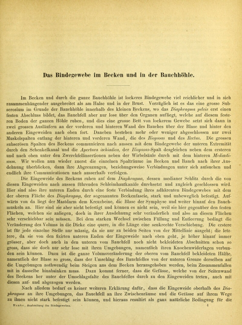 Im Becken und durch die ganze Bauchhöhle ist lockeres Bindegewebe viel reichlicher und in sich zusammenhängender ausgebreitet als am Halse und in der Brust. Vorzüglich ist es das eine grosse Sub- serosium im Grunde der Bauchhöhle innerhalb des kleinen Beckens, wo das Diaphragma pelvis erst einen festen Abschluss bildet, das Bauchfell aber nur lose über den Organen aufliegt, welche auf diesem feste- ren Boden der ganzen Höhle ruhen, und dies eine grosse Bett von lockerem Gewebe setzt sich dann in zwei grossen Ausläufern an der vorderen und hinteren Wand des Bauches über der Blase und hinter den anderen Eingeweiden nach oben fort. Daneben bestehen mehr oder weniger abgeschlossen nur zwei Muskelspalten entlang der hinteren und vorderen Wand, die des lliopsoas und des Rectus. Die grossen subserösen Spalten des Beckens communiciren nach aussen mit dem Bindegewebe der unteren Extremität durch den Schenkelkanal und die Apertura ischiadica, der lliopsoas-Spalt desgleichen neben dem ersteren und nach oben unter den Zwerchfellinsertionen neben der Wirbelsäule durch mit dem hinteren Mediasti- num. Wir wollen nun wieder zuerst die einzelnen Spalträume im Becken und Bauch nach ihrer Aus- dehnung überblicken, dann ihre Abgrenzungen, beziehungsweise Verbindungen unter sich aufsuchen und endlich ihre Communicationen nach ausserhalb verfolgen. Die Eingeweide des Beckens ruhen auf dem Diaphragma, dessen medianer Schlitz durch die von diesen Eingeweiden nach aussen führenden Schleimhautkanäle durchsetzt und zugleich geschlossen wird. Hier sind also ihre unteren Enden durch eine feste Verbindung ihres adhärcnten Bindegewebes mit dem der oberen Fläche des Diaphragma, der sogenannten Beckenfascie, stark und unbeweglich befestigt. Auf- wärts von da liegt der Mastdarm dem Kreuzbeine, die Blase der Symphyse und weiter hinauf den Bauch- muskeln an. Hier sind sie aber nicht befestigt und können es nicht sein, weil sie hier gegenüber den festen Flächen, welchen sie anliegen, doch in ihrer Ausdehnung sehr veränderlich und also an diesen Flächen sehr verschiebbar sein müssen. Bei dem starken Wechsel zwischen Füllung und Entleerung bedingt die Veränderung des Volums in die Dicke eine quere, in die Länge eine senkrechte Verschiebung. Die erstere ist für jede einzelne Stelle nur mässig, da sie nur zu beiden Seiten von der Mittellinie ausgeht; die letz- tere, da sie von den fixirten unteren Enden der Eingeweide nach oben geht, je höher hinauf immer grösser, aber doch auch in den unteren vom Bauchfell noch nicht bekleideten Abschnitten schon so gross, dass sie doch nur sehr lose mit ihren Umgebungen, namentlich ihren Knochenwiderlagen verbun- den sein können. Dazu ist die ganze Volums Veränderung der oberen vom Bauchfell bekleideten Hälfte, namentlich der Blase so gross, dass der Umschlag des Bauchfelles von der unteren Grenze derselben auf die Umgebungen nothwendig beim Steigen aus dem Becken herausgehoben werden, beim Zusammenfallen mit in dasselbe hinabsinken muss. Dazu kommt ferner, dass die Gefässe, welche von der Seitenwand des Beckens her unter der Umschlagsfalte des Bauchfelles durch zu den Eingeweiden treten, auch mit diesen auf- und abgezogen werden. Nach alledem bedarf es keiner weiteren Erklärung dafür, dass die Eingeweide oberhalb des Dia- phragma an ihre Umgebungen, das Bauchfell an ihre Zwischenräume und die Getässe auf ihrem Wege zu ihnen nicht stark befestigt sein können, und hieraus resultirt als ganz natürliche Bedingung für die Henke, Ausbreitung des Bindegewebes. ' 4