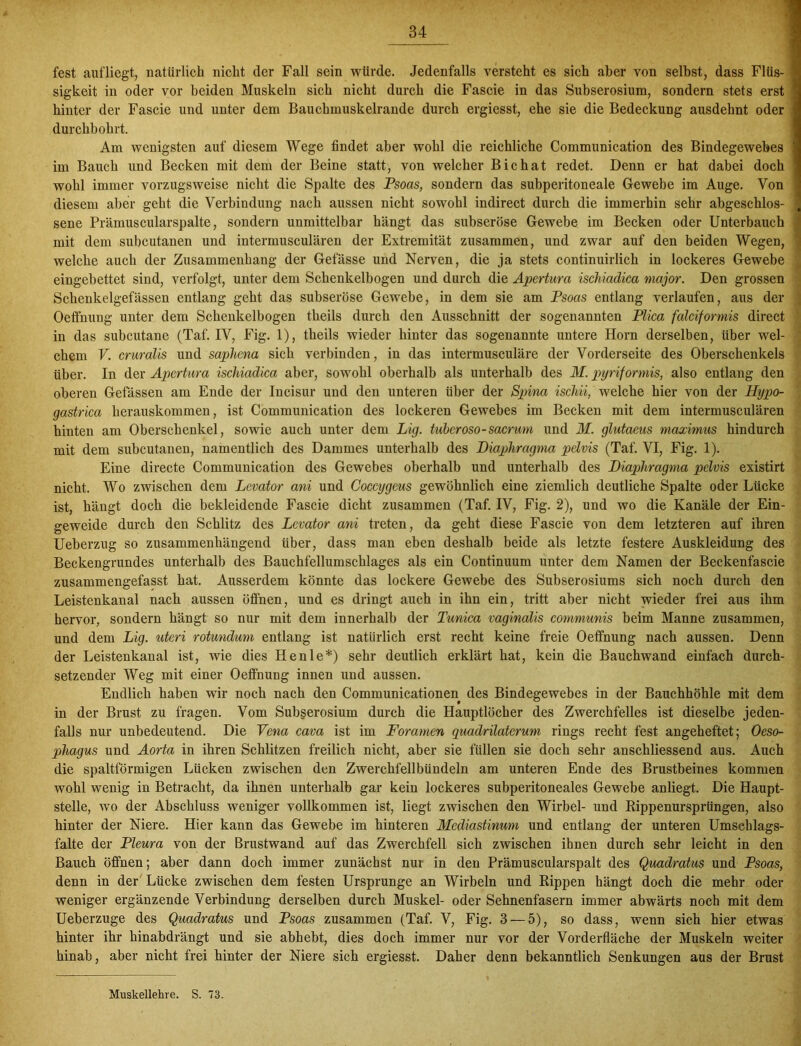 fest aufliegt, natürlich nicht der Fall sein würde. Jedenfalls versteht es sich aber von selbst, dass Flüs- I sigkeit in oder vor beiden Muskeln sich nicht durch die Fascie in das Subserosium, sondern stets erst | hinter der Fascie und unter dem Bauchmuskelrande durch ergiesst, ehe sie die Bedeckung ausdehnt oder I durchbohrt. Am wenigsten auf diesem Wege findet aber wohl die reichliche Communication des Bindegewebes ' im Bauch und Becken mit dem der Beine statt, von welcher Bichat redet. Denn er hat dabei doch ] wohl immer vorzugsweise nicht die Spalte des Psoas, sondern das subperitoneale Gewebe im Auge. Von diesem aber geht die Verbindung nach aussen nicht sowohl indirect durch die immerhin sehr abgeschlos- ; sene Prämuscularspalte, sondern unmittelbar hängt das subseröse Gewebe im Becken oder Unterbauch mit dem subcutanen und intermusculären der Extremität zusammen, und zwar auf den beiden Wegen, welche auch der Zusammenhang der Gefässe und Nerven, die ja stets continuirlich in lockeres Gewebe eingebettet sind, verfolgt, unter dem Schenkelbogen und durch die Apertura isdiiadica major. Den grossen Schenkelgefässen entlang geht das subseröse Gewebe, in dem sie am Psoas entlang verlaufen, aus der Oeffnung unter dem Schenkelbogen theils durch den Ausschnitt der sogenannten Plica falciformis direct in das subcutane (Taf. IV, Fig. 1), theils wieder hinter das sogenannte untere Horn derselben, über wel- chem V. cruralis und saphena sich verbinden, in das intermusculäre der Vorderseite des Oberschenkels über. In der Apertura ischiadica aber, sowohl oberhalb als unterhalb des M. pyriformis, also entlang den oberen Gelassen am Ende der Incisur und den unteren über der Spina ischii, welche hier von der Hypo- gastrica herauskommen, ist Communication des lockeren Gewebes im Becken mit dem intermusculären hinten am Oberschenkel, sowie auch unter dem Lig. tuheroso-sacrum und M. glutaeus maximus hindurch mit dem subcutanen, namentlich des Dammes unterhalb des Diaphragma pdvis (Taf. VI, Fig. 1). Eine directe Communication des Gewebes oberhalb und unterhalb des Diaphragma pdvis existirt nicht. Wo zwischen dem Levator ani und Coccygeus gewöhnlich eine ziemlich deutliche Spalte oder Lücke ist, hängt doch die bekleidende Fascie dicht zusammen (Taf. IV, Fig. 2), und wo die Kanäle der Ein- geweide durch den Schlitz des Levator ani treten, da geht diese Fascie von dem letzteren auf ihren Ueberzug so zusammenhängend über, dass man eben deshalb beide als letzte festere Auskleidung des Beckengrundes unterhalb des Bauchfellumschlages als ein Continuum unter dem Namen der Beckenfascie zusammengefasst hat. Ausserdem könnte das lockere Gewebe des Subserosiums sich noch durch den Leistenkanal nach aussen öffnen, und es dringt auch in ihn ein, tritt aber nicht wieder frei aus ihm hervor, sondern hängt so nur mit dem innerhalb der Tunica vaginalis communis beim Manne zusammen, und dem Lig. uteri rotundum entlang ist natürlich erst recht keine freie Oeffnung nach aussen. Denn der Leistenkanal ist, wie dies Henle*) sehr deutlich erklärt hat, kein die Bauchwand einfach durch- setzender Weg mit einer Oeffnung innen und aussen. Endlich haben wir noch nach den Communicationen des Bindegewebes in der Bauchhöhle mit dem in der Brust zu fragen. Vom Subgerosium durch die Hauptlöcher des Zwerchfelles ist dieselbe jeden- falls nur unbedeutend. Die Vena cava ist im Foramen quadrilaterum rings recht fest angeheftet; Oeso- phagus und Aorta in ihren Schlitzen freilich nicht, aber sie füllen sie doch sehr anschliessend aus. Auch die spaltförmigen Lücken zwischen den Zwerchfellbündeln am unteren Ende des Brustbeines kommen wohl wenig in Betracht, da ihnen unterhalb gar kein lockeres subperitoneales Gewebe anliegt. Die Haupt- stelle, wo der Abschluss weniger vollkommen ist, liegt zwischen den Wirbel- und Rippenursprüngen, also hinter der Niere. Hier kann das Gewebe im hinteren Mediastinum und entlang der unteren Umschlags- falte der Pleura von der Brustwand auf das Zwerchfell sich zwischen ihnen durch sehr leicht in den Bauch öffnen; aber dann doch immer zunächst nur in den Prämuscularspalt des Quadratus und Psoas, denn in der Lücke zwischen dem festen Ursprünge an Wirbeln und Rippen hängt doch die mehr oder weniger ergänzende Verbindung derselben durch Muskel- oder Sehnenfasern immer abwärts noch mit dem Ueberzuge des Quadratus und Psoas zusammen (Taf. V, Fig. 3 — 5), so dass, wenn sich hier etwas hinter ihr hinabdrängt und sie abhebt, dies doch immer nur vor der Vorderfläche der Muskeln weiter hinab, aber nicht frei hinter der Niere sich ergiesst. Daher denn bekanntlich Senkungen aus der Brust Muskellehre. S. 73.