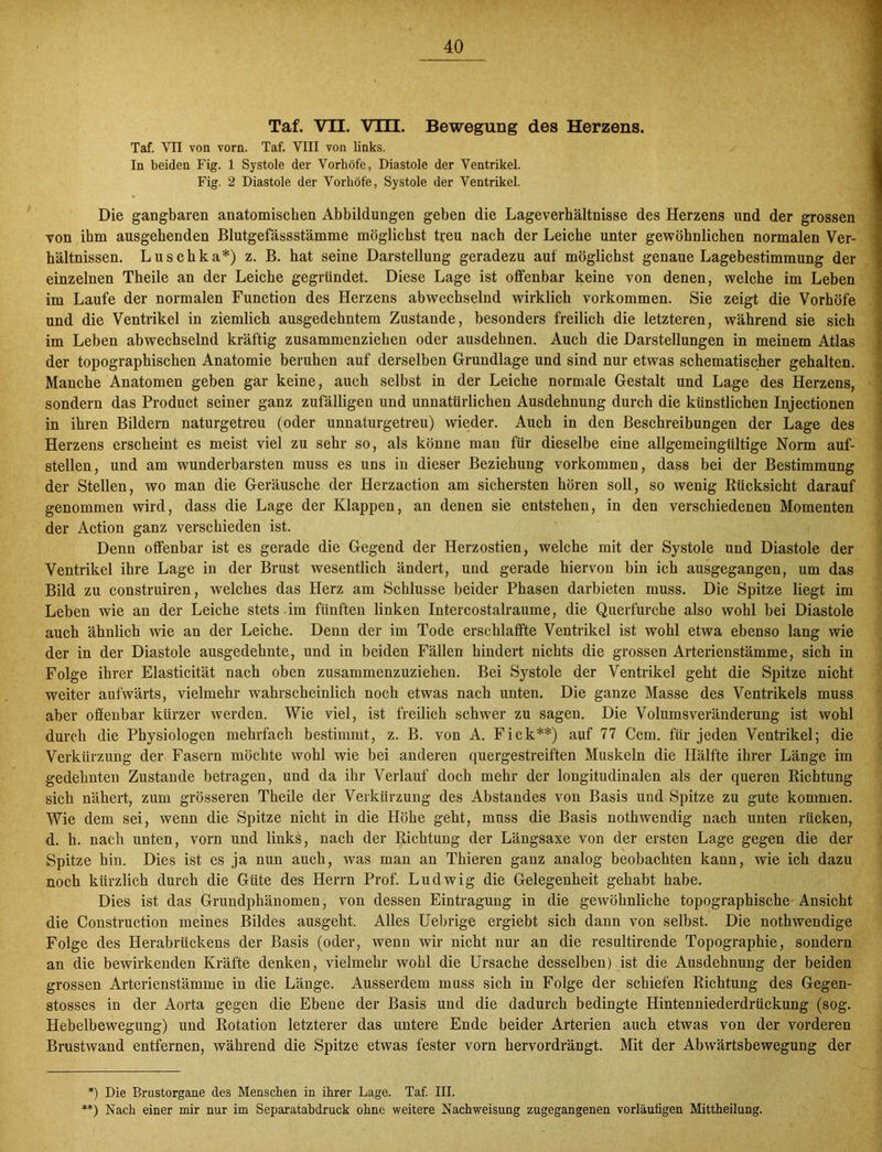 Taf. VII. VIIL Bewegung des Herzens. Taf. VII von vorn. Taf. VIII von links. In beiden Fig. 1 Systole der Vorhöfe, Diastole der Ventrikel. Fig. 2 Diastole der Vorhöfe, Systole der Ventrikel. Die gangbaren anatomischen Abbildungen geben die Lageverhältnisse des Herzens und der grossen von ihm ausgehenden Blutgefässstämme möglichst tveu nach der Leiche unter gewöhnlichen normalen Ver- hältnissen. Luschka*) z. B. hat seine Darstellung geradezu auf möglichst genaue Lagebestimmung der \ einzelnen Theile an der Leiche gegründet. Diese Lage ist offenbar keine von denen, welche im Leben im Laufe der normalen Function des Herzens abwechselnd wirklich Vorkommen. Sie zeigt die Vorhöfe und die Ventrikel in ziemlich ausgedehntem Zustande, besonders freilich die letzteren, während sie sich im Leben abwechselnd kräftig zusammenziehen oder ausdehnen. Auch die Darstellungen in meinem Atlas der topographischen Anatomie beruhen auf derselben Grundlage und sind nur etwas schematischer gehalten. Manche Anatomen geben gar keine, auch selbst in der Leiche normale Gestalt und Lage des Herzens, sondern das Product seiner ganz zufälligen und unnatürlichen Ausdehnung durch die künstlichen Injectionen in ihren Bildern naturgetreu (oder unnaturgetreu) wieder. Auch in den Beschreibungen der Lage des Herzens erscheint es meist viel zu sehr so, als könne man für dieselbe eine allgemeingültige Norm auf- stellen, und am wunderbarsten muss es uns in dieser Beziehung Vorkommen, dass bei der Bestimmung der Stellen, wo man die Geräusche der Herzaction am sichersten hören soll, so wenig Rücksicht darauf genommen wird, dass die Lage der Klappen, an denen sie entstehen, in den verschiedenen Momenten der Action ganz verschieden ist. Denn offenbar ist es gerade die Gegend der Herzostien, welche mit der Systole und Diastole der Ventrikel ihre Lage in der Brust wesentlich ändert, und gerade hiervon bin ich ausgegangen, um das Bild zu construiren, welches das Herz am Schlüsse beider Phasen darbieten muss. Die Spitze liegt im Leben wie an der Leiche stets im fünften linken Intercostalraume, die Querfurche also wohl bei Diastole auch ähnlich wie an der Leiche. Denn der im Tode erschlaffte Ventrikel ist wohl etwa ebenso lang wie der in der Diastole ausgedehnte, und in beiden Fällen bindert nichts die grossen Arterienstämme, sich in Folge ihrer Elasticität nach oben zusammenzuzieben. Bei Systole der Ventrikel geht die Spitze nicht weiter aufwärts, vielmehr wahrscheinlich noch etwas nach unten. Die ganze Masse des Ventrikels muss aber offenbar kürzer werden. Wie viel, ist freilich schwer zu sagen. Die Volumsveränderung ist wohl durch die Physiologen mehrfach bestimmt, z. B. von A. Fick**) auf 77 Ccm. für jeden Ventrikel; die Verkürzung der Fasern möchte wobl wie bei anderen quergestreiften Muskeln die Hälfte ihrer Länge im gedehnten Zustande betragen, und da ihr Verlauf doch mehr der longitudinalen als der queren Richtung sich nähert, zum grösseren Theile der Verkürzung des Abstandes von Basis und Spitze zu gute kommen. Wie dem sei, wenn die Spitze nicht in die Höhe geht, muss die Basis nothwendig nach unten rücken, d. h. nach unten, vorn und links, nach der Richtung der Längsaxe von der ersten Lage gegen die der Spitze hin. Dies ist es ja nun auch, was man an Thieren ganz analog beobachten kann, wie ich dazu noch kürzlich durch die Güte des Herrn Prof. Ludwig die Gelegenheit gehabt habe. Dies ist das Grundphänomen, von dessen Eintragung in die gewöhnliche topographische Ansicht die Construction meines Bildes ausgeht. Alles Uebrige ergiebt sich dann von selbst. Die nothwendige Folge des Herabrückens der Basis (oder, wenn wir nicht nur an die resultirende Topographie, sondern an die bewirkenden Kräfte denken, vielmehr wohl die Ursache desselben) ist die Ausdehnung der beiden grossen Arterienstämme in die Länge. Ausserdem muss sich in Folge der schiefen Richtung des Gegen- stosses in der Aorta gegen die Ebene der Basis und die dadurch bedingte Hintenniederdrückung (sog. Hebelbewegung) und Rotation letzterer das untere Ende beider Arterien auch etwas von der vorderen Brustwand entfernen, während die Spitze etwas fester vorn hervordrängt. Mit der Abwärtsbewegung der *) Die Brustorgane des Menschen in ihrer Lage. Taf. III. **) Nach einer mir nur im Separatabdruck ohne weitere Nachweisung zugegangenen vorläufigen Mittheilung.