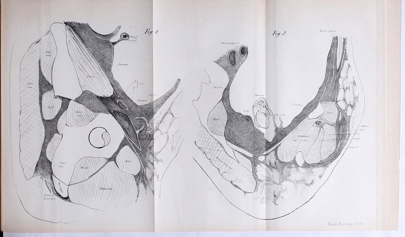 Ny. N l'asa A/ytjcts/rr. I I