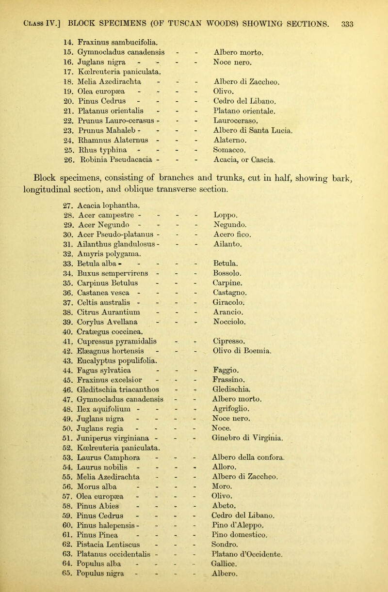14. Fraxinus sambucifolia. 15. Gymnocladus canadensis Albero morto. 16. Juglans nigra - - - Noce nero. 17. Koclreuteria paniculata. 18. Melia Azedirachta Albero di Zaccbeo. 19. Olea europaea - - - Ob VO. 20. Finns Cedrus - - - Cedro del Libano. 21. Platanus orientalis Platano orientale. 22. Prunus Lauro-cerasus - Lauroceraso. 23. Prunus Mahaleb - - - Albero di Santa Lucia. 24. Rhamnus Alaternus - Alatemo. 25. Rhus tyjjbina - - - Somacco. 26. Robinia Pseudacacia - Acacia, or Cascia. Block specimens, consisting of branches and trunks, cut in half, showing bark, longitudinal section, and oblique transverse section. 27. Acacia lophantha. 28. Acer campestre - _ Loppo. 29. Acer Negundo - - - Negundo. 30. Acer Pseudo-platanus - - - Acero fico. 31. Ailanthus glandulosus- - - Ailanto. 32. Aniyris polygama. 33. Betula alba - - - Betula. 34. Buxus sempervirens - - - Bossolo. 35. Carpinus Betulus - - Carpine. 36. Castanea vesca - - - Castagno. 37. Celtis australis - - - Giracolo. 38. Citrus Aurantium - - Arancio. 39. Corylus Avellana - - Nocciolo. 40. Crataegus coccinea. 41. Cupressus pyramidalis Cipresso. 42. Elaeagnus hortensis - - Obvo di Boemia. 43. EucalypLis popubfoba. 44. Fagus sylvatica _ _ Faggio. 45. Fraxinus excelsior - - Frassino. 46. Gleditschia triacanthos - - Gledischia. 47. Gymnocladus canadensis - - Albero morto. 48. Ilex aquifobum - - - Agrifogbo. 49. Juglans nigra - - Noce nero. 50. Juglans regia - - Noce. 51. Juniperus virginiana - - - Ginebro di Virginia. 52. Kcelreuteria paniculata. 53. Laurus Camphora . . Albero deUa confora. 54. Laurus nobibs - - Aboro. 55. Meba Azedirachta - - Albero di Zaccbeo. 56. Morus alba - - Moro. 57. Olea europsea - - Obvo. 58. Finns Abies - - Abeto. 59. Pinus Cedrus - - Cedro del Libano. 60. Pinus halepeusis - - - Pino d’Aleppo. 61. Pinus Pinea - - Pino domestico. 62. Pistacia Lentiscus - - Sondro. 63. Platanus occidentabs - - - Platano d’Occidcnte. 64. Populus alba - - GaUice. 65. Populus nigra - - Albero.