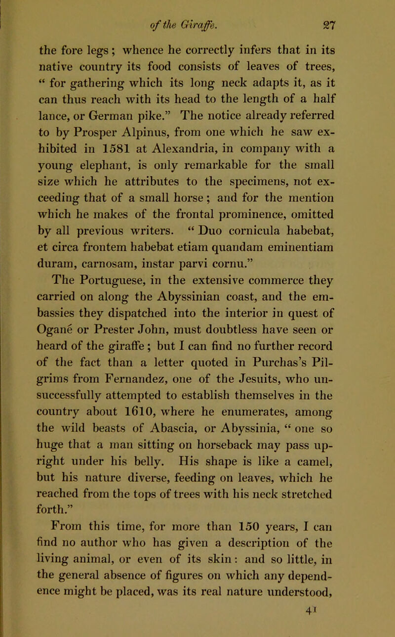 the fore legs; whence he correctly infers that in its native country its food consists of leaves of trees, “ for gathering which its long neck adapts it, as it can thus reach with its head to the length of a half lance, or German pike.” The notice already referred to by Prosper Alpinus, from one which he saw ex- hibited in 1581 at Alexandria, in company with a young elephant, is only remarkable for the small size which he attributes to the specimens, not ex- ceeding that of a small horse; and for the mention which he makes of the frontal prominence, omitted by all previous writers. “ Duo cornicula habebat, et circa frontem habebat etiam quandam eminentiam duram, carnosam, instar parvi cornu.” The Portuguese, in the extensive commerce they carried on along the Abyssinian coast, and the em- bassies they dispatched into the interior in quest of Ogane or Prester John, must doubtless have seen or heard of the giraffe ; but I can find no further record of the fact than a letter quoted in Purchas’s Pil- grims from Fernandez, one of the Jesuits, who un- successfully attempted to establish themselves in the country about 1610, where he enumerates, among the wild beasts of Abascia, or Abyssinia, “ one so huge that a man sitting on horseback may pass up- right under his belly. His shape is like a camel, but his nature diverse, feeding on leaves, which he reached from the tops of trees with his neck stretched forth.” From this time, for more than 150 years, I can find no author who has given a description of the living animal, or even of its skin: and so little, in the general absence of figures on which any depend- ence might be placed, was its real nature understood, 4i