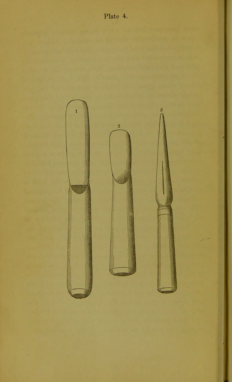 Plate 4.