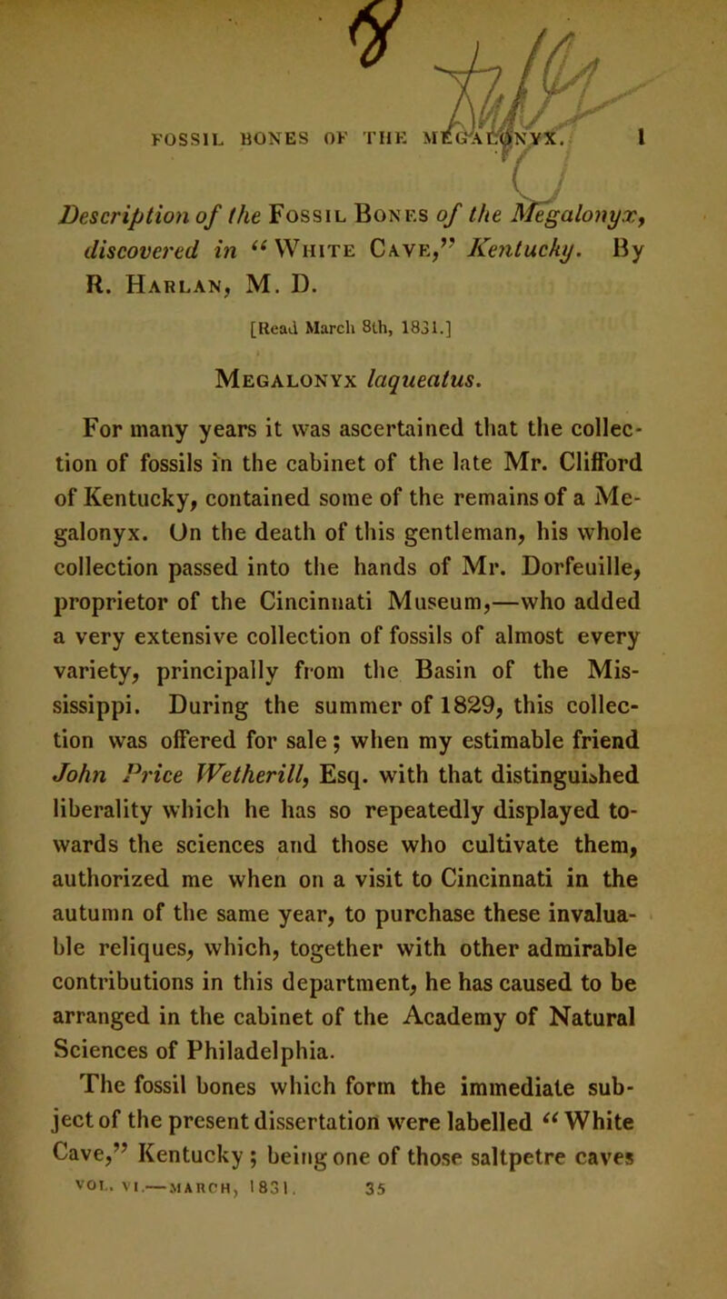 y FOSSIL HONES OF THE MEG'A Description of (he Fossil Bones of the Megalonyx, discovered in i( White Cave,” Kentucky. By R. Harlan, M. D. [Read March 8th, 1831.] Megalonyx laqueatus. For many years it was ascertained that the collec- tion of fossils in the cabinet of the late Mr. Clifford of Kentucky, contained some of the remains of a Me- galonyx. On the death of this gentleman, his whole collection passed into the hands of Mr. Dorfeuille, proprietor of the Cincinnati Museum,—who added a very extensive collection of fossils of almost every variety, principally from the Basin of the Mis- sissippi. During the summer of 1829, this collec- tion was offered for sale; when my estimable friend John Price Wetherill, Esq. with that distinguished liberality which he has so repeatedly displayed to- wards the sciences and those who cultivate them, authorized me when on a visit to Cincinnati in the autumn of the same year, to purchase these invalua- ble reliques, which, together with other admirable contributions in this department, he has caused to be arranged in the cabinet of the Academy of Natural Sciences of Philadelphia. The fossil bones which form the immediate sub- ject of the present dissertation were labelled “ White Cave,” Kentucky ; being one of those saltpetre caves VOL. VI.— MARCH, 1831. 35