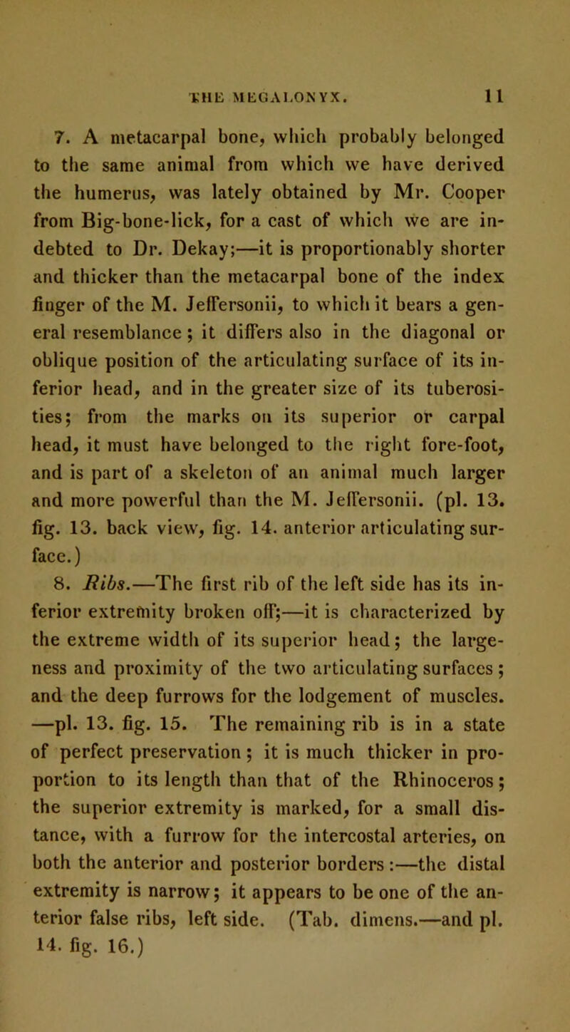 7. A metacarpal bone, which probably belonged to the same animal from which we have derived the humerus, was lately obtained by Mr. Cooper from Big-bone-lick, for a cast of which we are in- debted to Dr. Dekay;—it is proportionably shorter and thicker than the metacarpal bone of the index finger of the M. JelFersonii, to which it bears a gen- eral resemblance; it differs also in the diagonal or oblique position of the articulating surface of its in- ferior head, and in the greater size of its tuberosi- ties; from the marks on its superior or carpal head, it must have belonged to the right fore-foot, and is part of a skeleton of an animal much larger and more powerful than the M. JelFersonii. (pi. 13. fig. 13. back view, fig. 14. anterior articulating sur- face.) 8. Bibs.—The first rib of the left side has its in- ferior extremity broken off;—it is characterized by the extreme width of its superior head; the large- ness and proximity of the two articulating surfaces ; and the deep furrows for the lodgement of muscles. —pi. 13. fig. 15. The remaining rib is in a state of perfect preservation; it is much thicker in pro- portion to its length than that of the Rhinoceros; the superior extremity is marked, for a small dis- tance, with a furrow for the intercostal arteries, on both the anterior and posterior borders :—the distal extremity is narrow; it appears to be one of the an- terior false ribs, left side. (Tab. dimens.—and pi. 14. fig. 16.)