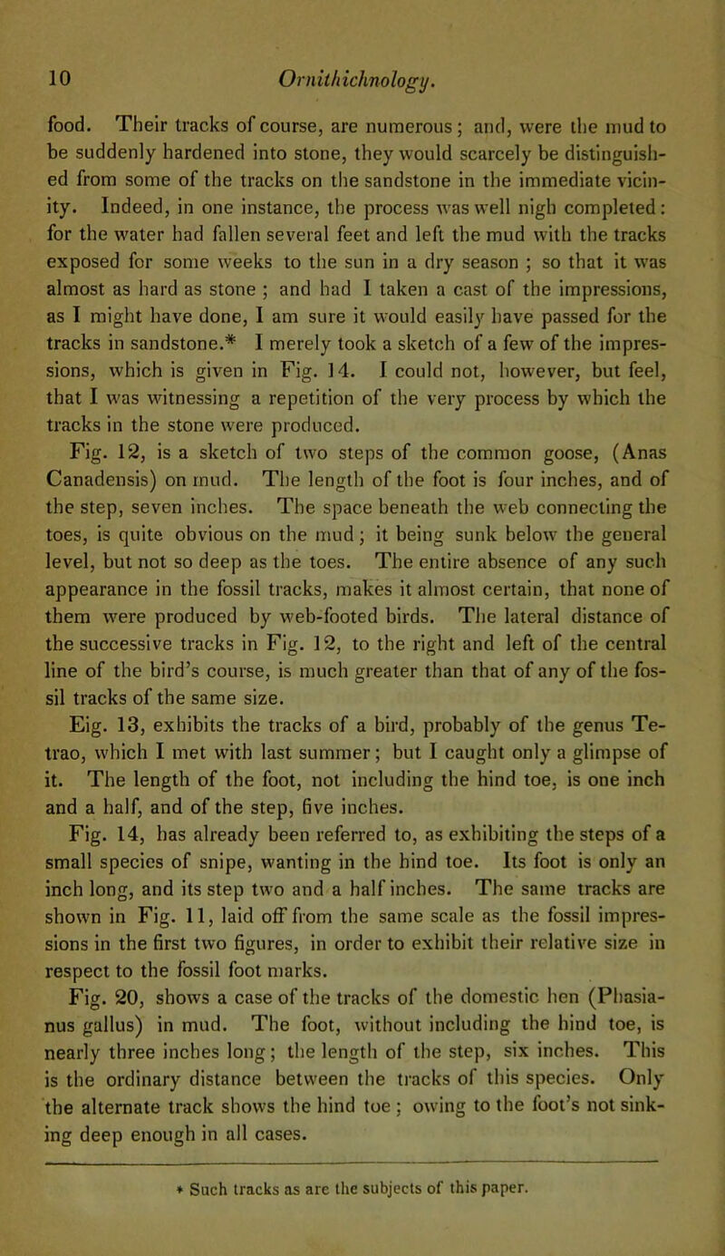 food. Their tracks of course, are numerous; and, were the mud to be suddenly hardened into stone, they would scarcely be distinguish- ed from some of the tracks on the sandstone in the immediate vicin- ity. Indeed, in one instance, the process was well nigh completed: for the water had fallen several feet and left the mud with the tracks exposed for some weeks to the sun in a dry season ; so that it was almost as hard as stone ; and had I taken a cast of the impressions, as I might have done, I am sure it would easily have passed for the tracks in sandstone.* I merely took a sketch of a few of the impres- sions, which is given in Fig. 14. I could not, however, but feel, that I was witnessing a repetition of the very process by which the tracks in the stone were produced. Fig. 12, is a sketch of two steps of the common goose, (Anas Canadensis) on rnud. The length of the foot is four inches, and of the step, seven inches. The space beneath the web connecting the toes, is quite obvious on the mud; it being sunk below the general level, but not so deep as the toes. The entire absence of any such appearance in the fossil tracks, makes it almost certain, that none of them were produced by web-footed birds. The lateral distance of the successive tracks in Fig. 12, to the right and left of the central line of the bird’s course, is much greater than that of any of the fos- sil tracks of the same size. Eig. 13, exhibits the tracks of a bird, probably of the genus Te- trao, which I met with last summer; but 1 caught only a glimpse of it. The length of the foot, not including the hind toe, is one inch and a half, and of the step, five inches. Fig. 14, has already been referred to, as exhibiting the steps of a small species of snipe, wanting in the hind toe. Its foot is only an inch long, and its step two and a half inches. The same tracks are shown in Fig. 11, laid off from the same scale as the fossil impres- sions in the first two figures, in order to exhibit their relative size in respect to the fossil foot marks. Fig. 20, shows a case of the tracks of the domestic hen (Phasia- nus gallus) in mud. The foot, without including the hind toe, is nearly three inches long; the length of the step, six inches. This is the ordinary distance between the tracks of this species. Only the alternate track shows the hind toe ; owing to the foot’s not sink- ing deep enough in all cases. ♦ Such tracks as are the subjects of this paper.