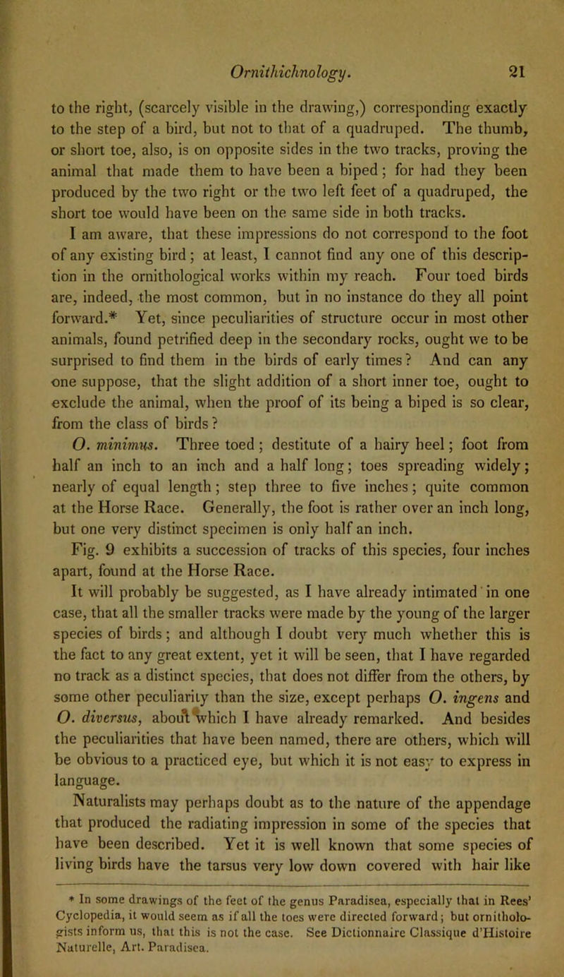 to the right, (scarcely visible in the drawing,) corresponding exactly to the step of a bird, but not to that of a quadruped. The thumb, or short toe, also, is on opposite sides in the two tracks, proving the animal that made them to have been a biped; for had they been produced by the two right or the two left feet of a quadruped, the short toe would have been on the same side in both tracks. I am aware, that these impressions do not correspond to the foot of any existing bird; at least, 1 cannot find any one of this descrip- tion in the ornithological works within my reach. Four toed birds are, indeed, the most common, but in no instance do they all point forward.* Yet, since peculiarities of structure occur in most other animals, found petrified deep in the secondary rocks, ought we to be surprised to find them in the birds of early times ? And can any one suppose, that the slight addition of a short inner toe, ought to exclude the animal, when the proof of its being a biped is so clear, from the class of birds ? O. minirmis. Three toed ; destitute of a hairy heel; foot from half an inch to an inch and a half long; toes spreading widely; nearly of equal length; step three to five inches; quite common at the Horse Race. Generally, the foot is rather over an inch long, but one very distinct specimen is only half an inch. Fig. 9 exhibits a succession of tracks of this species, four inches apart, found at the Horse Race. It will probably be suggested, as I have already intimated in one case, that all the smaller tracks were made by the young of the larger species of birds; and although I doubt very much whether this is the fact to any great extent, yet it will be seen, that I have regarded no track as a distinct species, that does not differ from the others, by some other peculiarity than the size, except perhaps O. ingens and O. diversus, aboul;Vhich I have already remarked. And besides the peculiarities that have been named, there are others, which will be obvious to a practiced eye, but which it is not east’ to express in language. Naturalists may perhaps doubt as to the nature of the appendage that produced the radiating impression in some of the species that have been described. Yet it is well known that some species of living birds have the tarsus very low down covered with hair like ♦ In some drawings of the feet of the genus Paradisea, especially that in Rees’ Cyclopedia, it would seem as if all the toes were directed forward; but ornitholo- gists inform us, that this is not the case. See Dictionnaire Classique d’Histoire Nuturelle, Art. Paradisea.