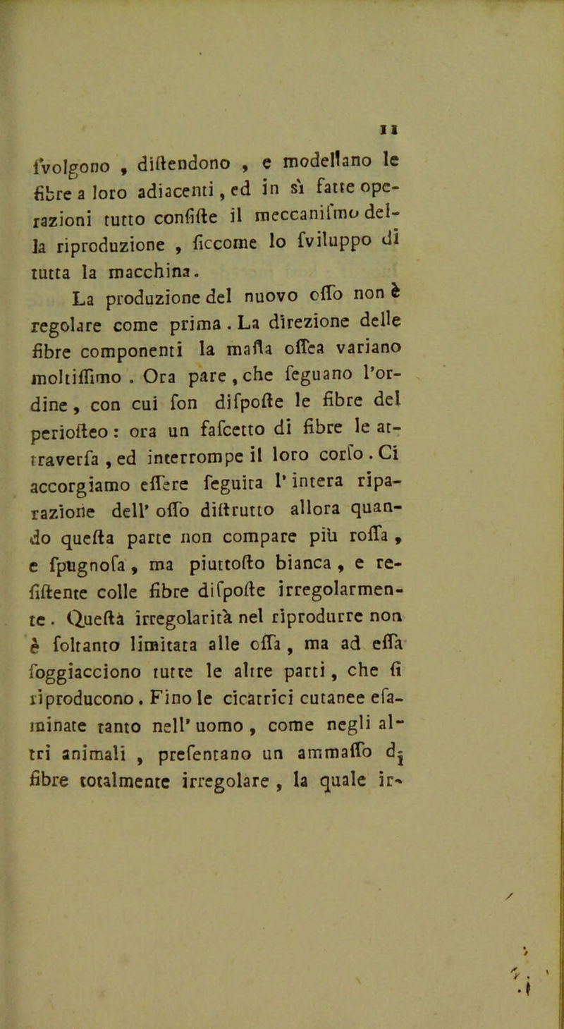 ivolgono , difendono , e modellano le fibre a loro adiacenti, ed in sì fatte ope- razioni tutto confitte il meccaniimo del- ia riproduzione , ficcorne lo fviluppo di tutta la macchina. La produzione del nuovo otto non è regolare come prima . La direzione delle fibre componenti la matta ofiea variano moltiflìmo . Ora pare ,che feguano l’or- dine , con cui fon difpofte le fibre del periotteo r ora un fafcetto di fibre le at- traverfa , ed interrompe il loro corlo . Ci accorgiamo ettere feguita l’intera ripa- razione dell’ otto dittrutto allora quan- do quella parte non compare piu rotta , e fptignofa , ma piuttofto bianca , e re- nitente colle fibre difpotte irregolarmen- te . Queftà irregolarità nel riprodurre non è foltanto limitata alle offa, ma ad ettà foggiacciono tutte le altre parti, che lì riproducono . Fino le cicatrici cutanee efa- minate tanto nell’uomo, come negli al- tri animali , prefentano un ammaffo dj fibre totalmente irregolare , la quale ir- 'r