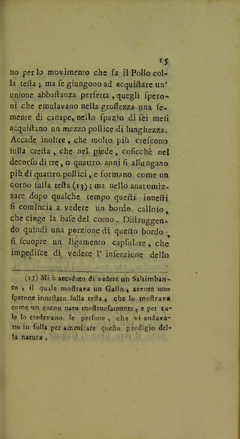 lS no per lo movimento che fa il Pollo col- la tetta ; ma fe giungono ad acquittare un’ unione abbaftanza perfetta , quegli fpero- ni che emulavano nella grettezza una ie- menie di canape, nello fpazio di fèi mett aqquiftano un mezzo pollice di lunghezza. Accade inoltre, che molto più crefcono iulla eretta , che nel piede, coficchè nel decorfo di tre , o quattro anni fi allungano più di quattro.pollici, e formano, come un corno fulla tetta (13); ma nello anatomiz- zare dopo qualche tempo quefti innefti fi comincia a vedere un bordo callolo, che cinge la bafe del corno . Dittruggen- do quindi una porzione di quetto bordo fi fcuopre un ligamento capfulare, che impedifee di vedere 1; inferzione dello (ij) Mi è accaduto di vedere un Saltimban«> co , il quale moftrava un Gallo , avente uno fperone inneftato fulla retta , che Io moftrava come un corno nato moftruofamente, e per ta- le lo credevano le pecione , che vi andava- no in folla per ammirare quello prodigio del- la natura ,