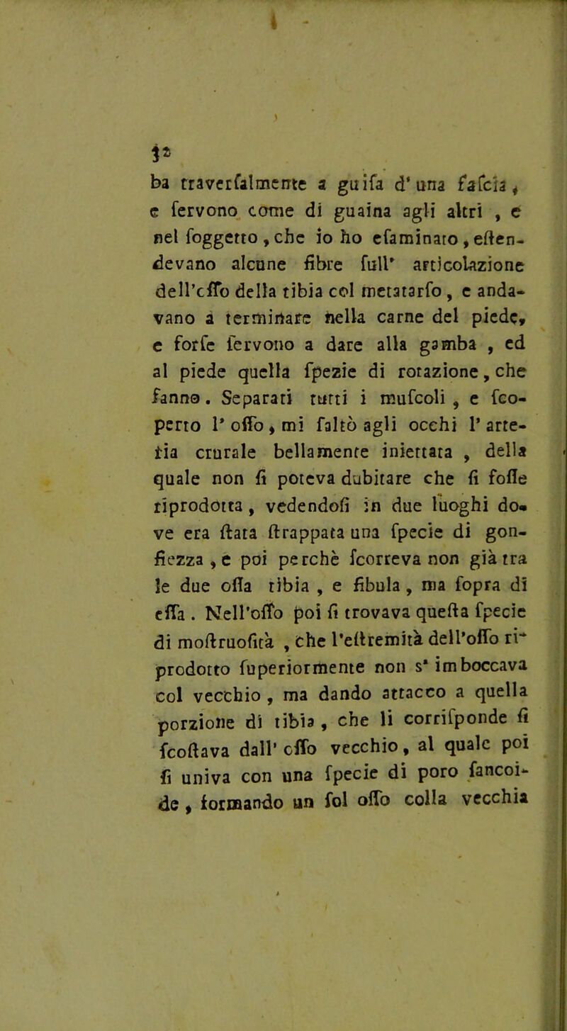s* ba rr a ver fai mente a guifa d‘una fafeia * e fervono come di guaina agli altri , e rei foggetto , che io ho efaminaro , atten- devano alcune fibre full* articolazione dell’cffo della tibia col metatarso , e anda- vano a terminare nella carne del piede, e forfè fervono a dare alla gamba , ed al piede quella fpezie di rotazione, che fanno. Separati rutti i mufcoli , e feo- perto ro(fo,mi falsò agli occhi 1’ arte- ria crurale bellamente iniettata , della quale non fi poteva dubitare che fi fofle riprodotta, vedendoli in due luoghi do* ve era fiata (frappata una fpecie di gon- fiezza , e poi perchè feorreva non già tra le due ofia tibia , e fibula, ma fopra di efTa . Nell’offo poi fi trovava quefta fpecie di moftruofità , che l’efiremit'a deli’offo rr prodotto fuperiormente non s* imboccava col vecchio , ma dando attacco a quella porzione di tibia, che li corrilponde fi feoftava dall’ elio vecchio, al quale poi fi univa con una fpecie di poro fancoi- de t formando un fol otto colla vecchia