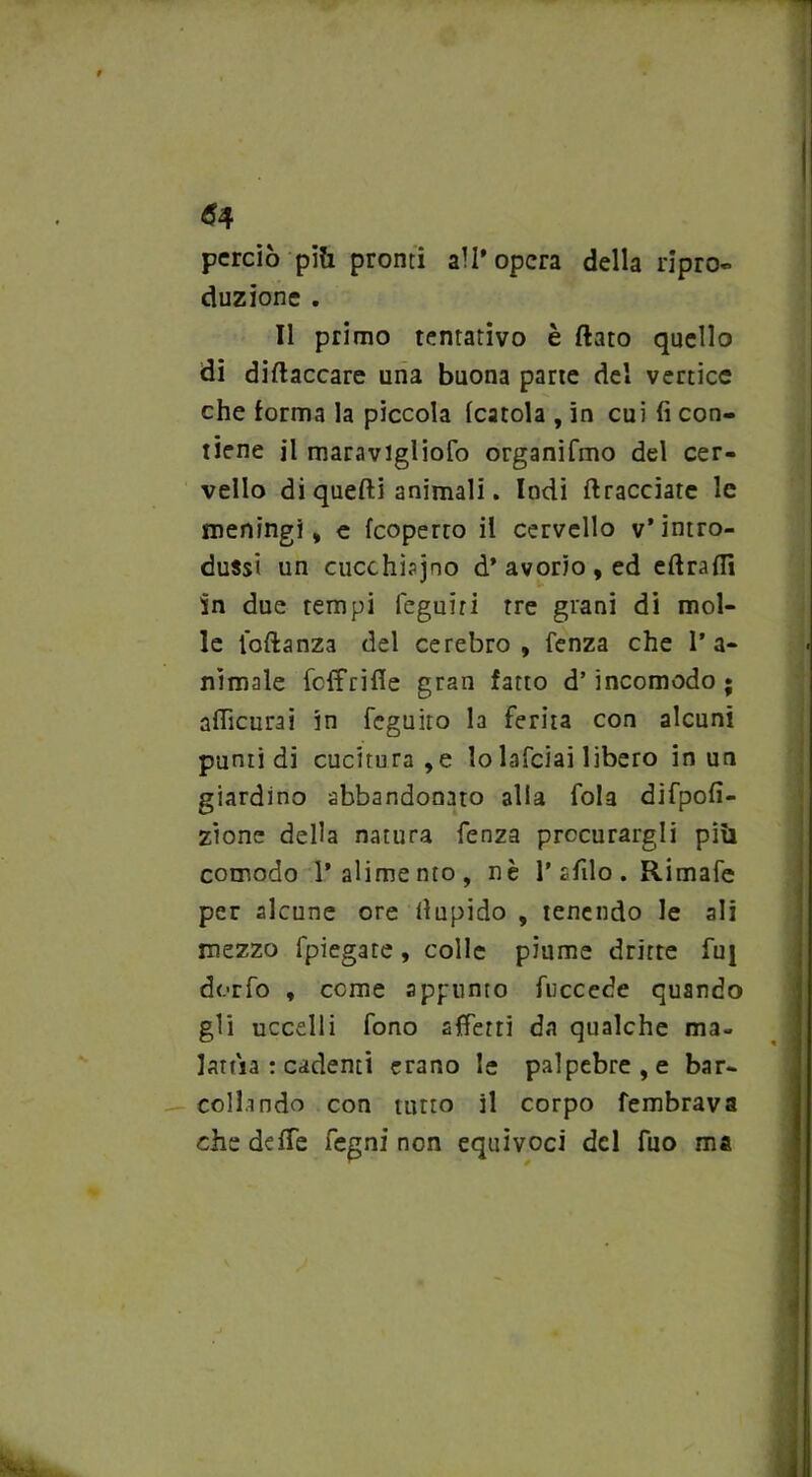 perciò più pronti all’opera della ripro- duzione . Il primo tentativo è flato quello di diflaccare una buona parte del vertice che forma la piccola {carola , in cui fi con- tiene il maravigliofo organifmo del cer- vello di quelli animali. Indi {tracciate le meningi, e (coperto il cervello v’intro- dussi un cucchiaino d’avorio, ed eftraflì in due tempi feguiri tre grani di mol- le loftanza del cerebro , fenza che l’a- nimale feffrifie gran fatto d’incomodo; aflicurai in feguito la ferita con alcuni pumi di cucitura, e lo Infoiai libero in un giardino abbandonato alla fola difpofi- zione della natura fenza procurargli più comodo l’alimento, nè l'sfilo. Rimafe per alcune ore fiupido , tenendo le ali mezzo fpiegate, colle piume dritte fu| dorfo , come appunto fuccede quando gli uccelli fono affetti da qualche ma- lattia : cadenti erano le palpebre, e bar- collando con tutto il corpo fembrava che delle fegni non equivoci del fuo ma Sstì.