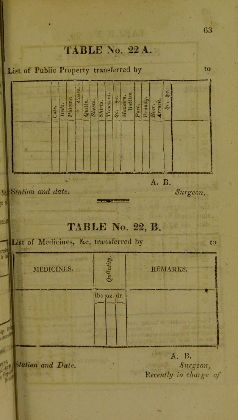(13 TABLE No. 22 A. I List of Public Property transferred by