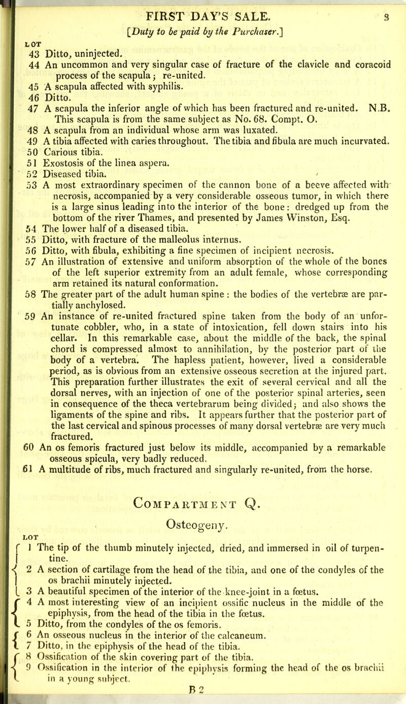 [Duty to be yaid by the Purchaser.'] LOT 43 Ditto, uninjected. 44 An uncommon and very singular case of fracture of the clavicle and coracoid process of the scapula; re-united. 45 A scapula affected with syphilis. 46 Ditto. 47 A scapula the inferior angle of which has been fractured and re-united. N.B. This scapula is from the same subject as No. 68. Compt. O. 48 A scapula from an individual whose arm was luxated. 49 A tibia affected with caries throughout. The tibia and fibula are much incurvated. 50 Carious tibia. 51 Exostosis of the linea aspera. 52 Diseased tibia. > 53 A most extraordinary specimen of the cannon bone of a beeve affected with' necrosis, accompanied by a very considerable osseous tumor, in which there is a large sinus leading into the interior of the bone: dredged up from the bottom of the river Thames, and presented by James Winston, Esq. 54 The lower half of a diseased tibia. 55 Ditto, with fracture of the malleolus internus. 56 Ditto, with fibula, exhibiting a fine specimen of incipient necrosis. 57 An illustration of extensive and uniform absorption of the whole of the bones of the left superior extremity from an adult female, whose corresponding arm retained its natural conformation. 58 The greater part of the adult human spine : the bodies of the vertebras are par- tially anchylosed. 59 An instance of re-united fractured spine taken from the body of an unfor- tunate cobbler, who, in a state of intoxication, fell down stairs into his cellar. In this remarkable case, about the middle of the back, the spinal chord is compressed almost to annihilation, by the posterior part of the body of a vertebra'. The hapless patient, however, lived a considerable period, as is obvious from an extensive osseous secretion at the injured part. This preparation further illustrates the exit of .several cervical and all the dorsal nerves, with an injection of one of the posterior spinal arteries, seen in consequence of the theca vertebrarum being divided; and also shows the ligaments of the spine and ribs. It appears further that the posterior part of the last cervical and spinous processes of many dorsal vertebrae are very much fractured. 60 An os femoris fractured just below its middle, accompanied by a remarkable osseous spicula, very badly reduced. 61 A multitude of ribs, much fractured and singularly re-united, from the horse. Compartment Q. Osteogeny. LOT f 1 The tip of the thumb minutely injected, dried, and immersed in oil of turpen- I tine. 2 A section of cartilage from the head of the tibia, and one of the condyles of the I os brachii minutely injected. t 3 A beautiful specimen of the interior of the knee-joint in a foetus, r 4 A most interesting view of an incipient ossific nucleus in the middle of the < epiphysis, from the head of the tibia in the foetus. L 5 Ditto, from the condyles of the os femoris. {6 An osseous nucleus in the interior of the calcaneum. 7 Ditto, in the epiphysis of the head of the tibia. C 8 Ossification of the skin covering part of the tibia. < 9 Ossification in the interior of the epiphysis forming the head of the os brachii t in a young subject. B2