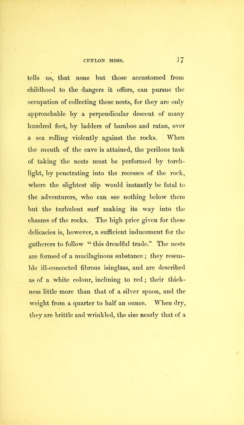 tells us, that none but those accustomed from childhood to the dangers it offers, can pursue the occupation of collecting these nests, for they are only approachable by a perpendicular descent of many hundred feet, by ladders of bamboo and ratan, over a sea rolling violently against the rocks. When the mouth of the cave is attained, the perilous task of taking the nests must be performed by torch- light, by penetrating into the recesses of the rock, where the slightest slip would instantly be fatal to the adventurers, who can see nothing below them but the turbulent surf making its way into the chasms of the rocks. The high price given for these delicacies is, however, a sufficient inducement for the gatherers to follow “ this dreadful trade.” The nests are formed of a mucilaginous substance ; they resem- ble ill-concocted fibrous isinglass, and are described as of a white colour, inclining to red; their thick- ness little more than that of a silver spoon, and the weight from a quarter to half an ounce. When dry, they are brittle and wrinkled, the size nearly that of a