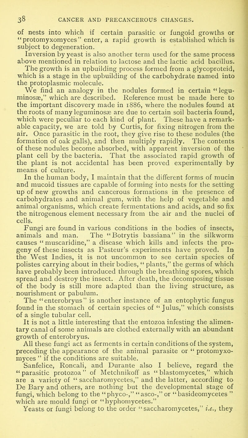 of nests into which if certain parasitic or fungoid growths or “protomyxomyces” enter, a rapid growth is established which is subject to degeneration. Inversion by yeast is also another term used for the same process above mentioned in relation to lactose and the lactic acid bacillus. The growth is an upbuilding process formed from a glycoproteid, which is a stage in the upbuilding of the carbohydrate named into the protoplasmic molecule. We find an analogy in the nodules formed in certain “ legu- minosae,” which are described. Reference must be made here to the important discovery made in 1886, where the nodules found at the roots of many leguminosae are due to certain soil bacteria found, which were peculiar to each kind of plant. These have a remark- able capacity, we are told by Curtis, for fixing nitrogen from the air. Once parasitic in the root, they give rise to these nodules (the formation of oak galls), and then multiply rapidly. The contents of these nodules become absorbed, with apparent inversion of the plant cell by the bacteria. That the associated rapid growth of the plant is not accidental has been proved experimentally by means of culture. In the human body, I maintain that the different forms of mucin and mucoid tissues are capable of forming into nests for the setting up of new growths and cancerous formations in the presence of carbohydrates and animal gum, with the help of vegetable and animal organisms, which create fermentations and acids, and so fix the nitrogenous element necessary from the air and the nuclei of cells. Fungi are found in various conditions in the bodies of insects, animals and man. The “Botrytis bassiana” in the silkworm causes “ muscaridine,” a disease which kills and infects the pro- geny of these insects as Pasteur’s experiments have proved. In the West Indies, it is not uncommon to see certain species of polistes carrying about in their bodies, “ plants,” the germs of which have probably been introduced through the breathing spores, which spread and destroy the insect. After death, the decomposing tissue of the body is still more adapted than the living structure, as nourishment or pabulum. The “enterobryus” is another instance of an entophytic fungus found in the stomach of certain species of “ Julus,” which consists of a single tubular cell. It is not a little interesting that the entozoa infesting the alimen- tary canal of some animals are clothed externally with an abundant growth of enterobryus. All these fungi act as ferments in certain conditions of the system, preceding the appearance of the animal parasite or “ protomyxo- myces ” if the conditions are suitable. Sanfeliee, Roncali, and Durante also I believe, regard the u parasitic protozoa” of Metchnikoff as “ blastomycetes,” which are a variety of “ saccharomycetes,” and the latter, according to De Bary and others, are nothing but the developmental stage of fungi, which belong to the “phyco-,” “asco-,” or “basideomycetes ” which are mould fungi or “hyphomycetes.” Yeasts or fungi belong to the order “saccharomycetes,” i.e., they