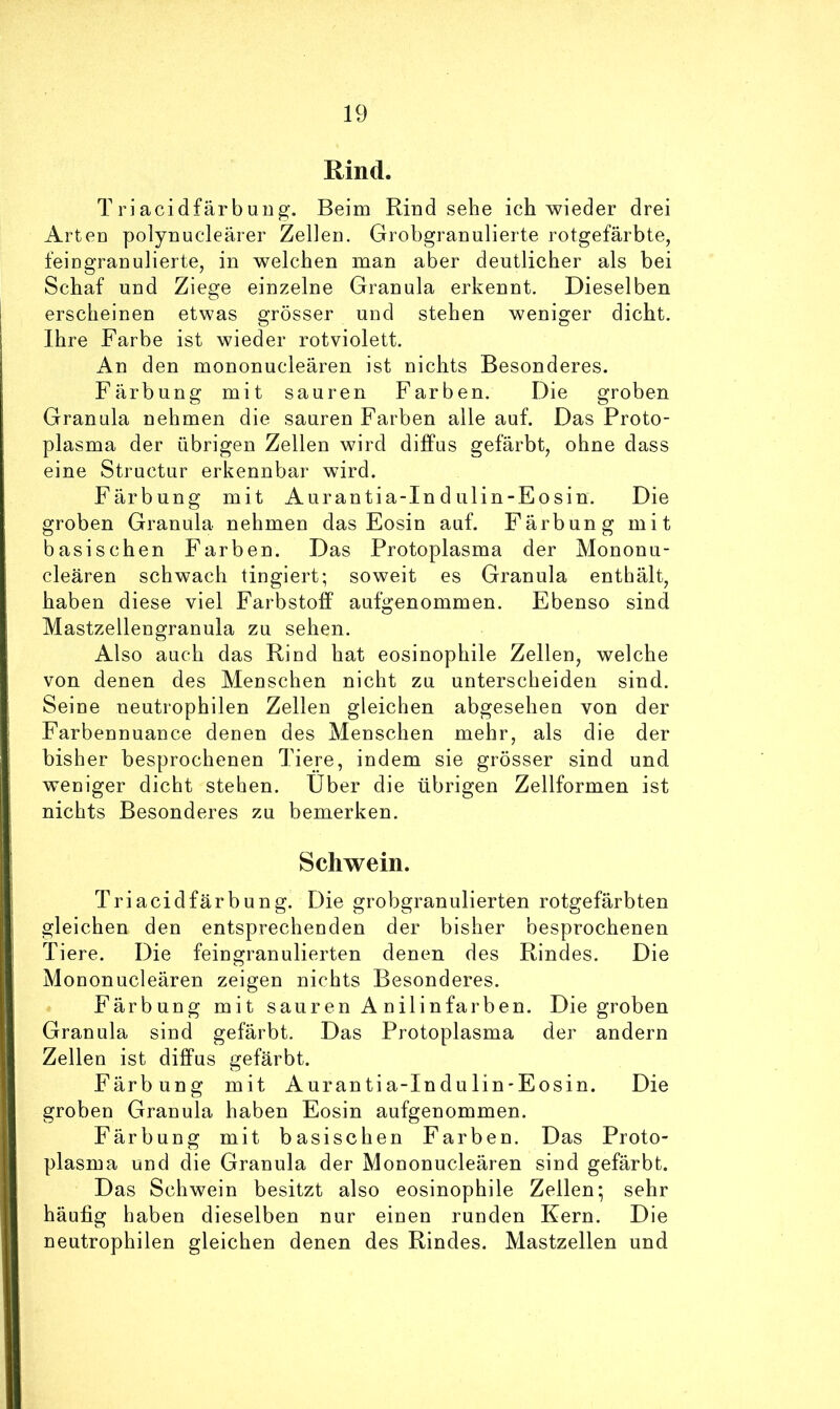 Rind. Triacidfärbung. Beim Rindsehe ich wieder drei Arten polynucleärer Zellen. Grobgranulierte rotgefärbte, feingranulierte, in welchen man aber deutlicher als bei Schaf und Ziege einzelne Granula erkennt. Dieselben erscheinen etwas grösser und stehen weniger dicht. Ihre Farbe ist wieder rotviolett. An den mononucleären ist nichts Besonderes. Färbung mit sauren Farben. Die groben Granula nehmen die sauren Farben alle auf. Das Proto- plasma der übrigen Zellen wird diffus gefärbt, ohne dass eine Structur erkennbar wird. Färbung mit Aurantia-In d ulin-Eosin. Die groben Granula nehmen das Eosin auf. Färbung mit basischen Farben. Das Protoplasma der Mononu- cleären schwach tingiert; soweit es Granula enthält, haben diese viel Farbstoff aufgenommen. Ebenso sind Mastzellengranula zu sehen. Also auch das Rind hat eosinophile Zellen, welche von denen des Menschen nicht zu unterscheiden sind. Seine neutrophilen Zellen gleichen abgesehen von der Farbennuance denen des Menschen mehr, als die der bisher besprochenen Tiere, indem sie grösser sind und weniger dicht stehen. Uber die übrigen Zellformen ist nichts Besonderes zu bemerken. Schwein. Triacidfärbung. Die grobgranulierten rotgefärbten gleichen den entsprechenden der bisher besprochenen Tiere. Die feingranulierten denen des Rindes. Die Mononucleären zeigen nichts Besonderes. Färbung mit sauren A nilinfarben. Die groben Granula sind gefärbt. Das Protoplasma der andern Zellen ist diffus gefärbt. Färbung mit Aurantia-Indulin-Eosin. Die groben Granula haben Eosin aufgenommen. Färbung mit basischen Farben. Das Proto- plasma und die Granula der Mononucleären sind gefärbt. Das Schwein besitzt also eosinophile Zellen*, sehr häufig haben dieselben nur einen runden Eern. Die neutrophilen gleichen denen des Rindes. Mastzellen und