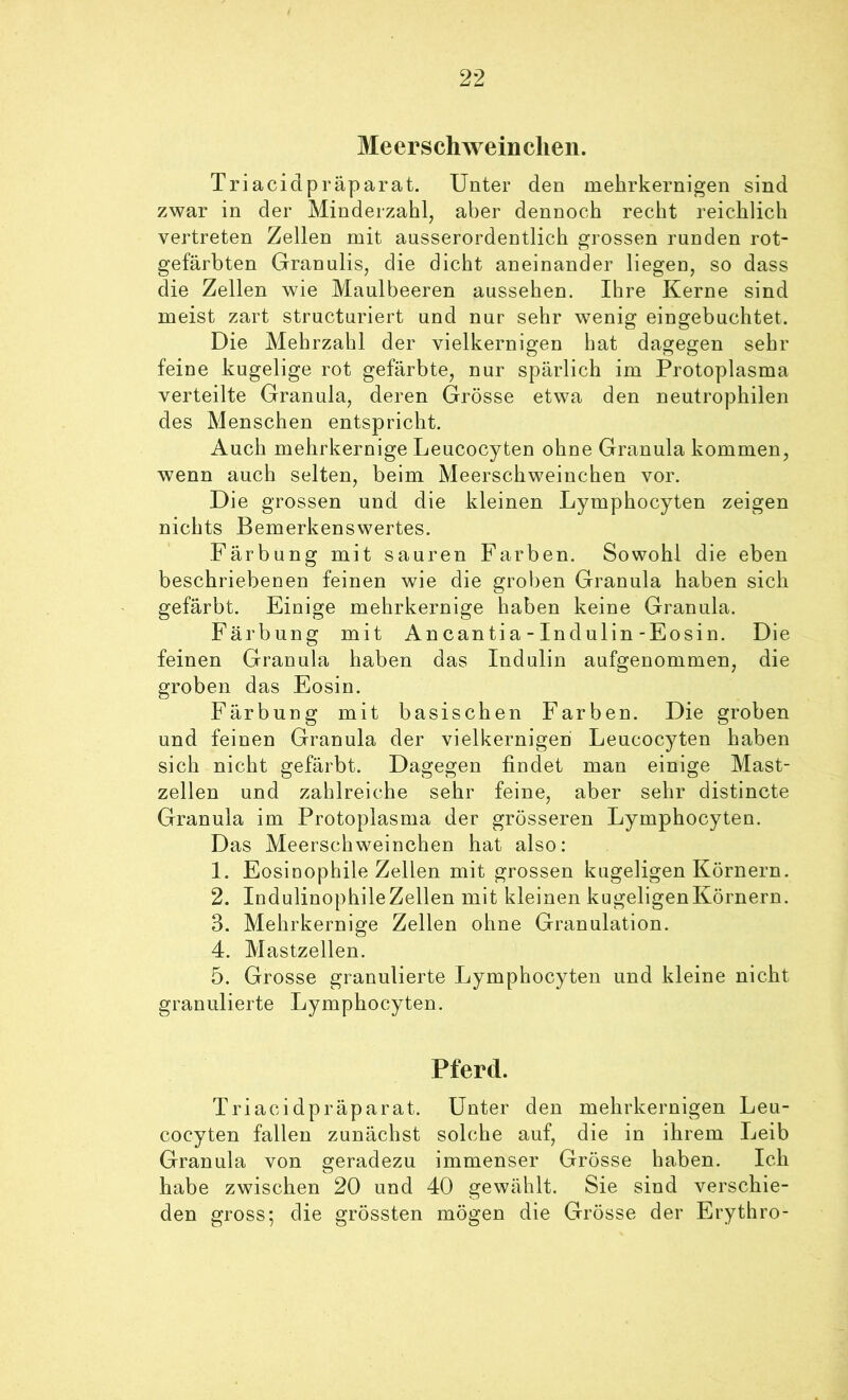 Meerschweinchen. Triacidpräparat. Unter den mehrkernigen sind zwar in der Minderzahl, aber dennoch recht reichlich vertreten Zellen mit ausserordentlich grossen runden rot- gefärbten Granulis, die dicht aneinander liegen, so dass die Zellen wie Maulbeeren aussehen. Ihre Kerne sind meist zart structuriert und nur sehr wenig eingebuchtet. Die Mehrzahl der vielkernigen hat dagegen sehr feine kugelige rot gefärbte, nur spärlich im Protoplasma verteilte Granula, deren Grösse etwa den neutrophilen des Menschen entspricht. Auch mehrkernige Leucocyten ohne Granula kommen, wenn auch selten, beim Meerschweinchen vor. Die grossen und die kleinen Lymphocyten zeigen nichts Bemerkenswertes. Färbung mit sauren Farben. Sowohl die eben beschriebenen feinen wie die groben Granula haben sich gefärbt. Einige mehrkernige haben keine Granula. Färbung mit Ancantia-Indulin-Eosin. Die feinen Granula haben das Indulin aufgenommen, die groben das Eosin. Färbung mit basischen Farben. Die groben und feinen Granula der vielkernigen Leucocyten haben sich nicht gefärbt. Dagegen findet man einige Mast- zellen und zahlreiche sehr feine, aber sehr distincte Granula im Protoplasma der grösseren Lymphocyten. Das Meerschweinchen hat also: 1. Eosiuophile Zellen mit grossen kugeligen Körnern. 2. IndulinophileZellen mit kleinen kugeligenKörnern. 3. Mehrkernige Zellen ohne Granulation. 4. Mastzellen. 5. Grosse granulierte Lymphocyten und kleine nicht granulierte Lymphocyten. Pferd. Triacidpräparat. Unter den mehrkernigen Leu- cocyten fallen zunächst solche auf, die in ihrem Leib Granula von geradezu immenser Grösse haben. Ich habe zwischen 20 und 40 gewählt. Sie sind verschie- den gross; die grössten mögen die Grösse der Erythro-