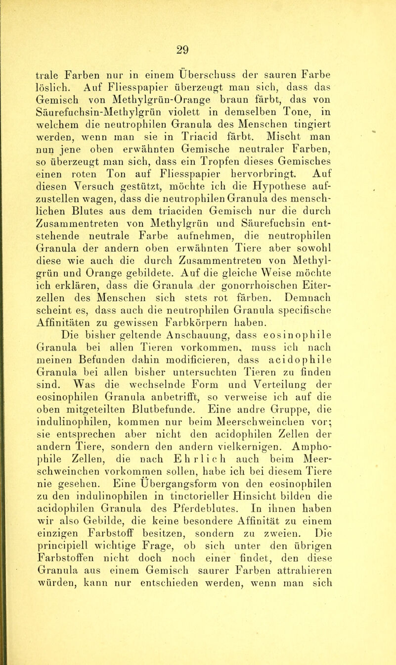 trale Farben nur in einem Überschuss der sauren Farbe löslich. Auf Fliesspapier überzeugt mau sich, dass das Gemisch von Methylgrün-Orange braun färbt, das von Säurefuchsin-Methylgrün violett in demselben Tone, in welchem die neutrophilen Granula des Menschen tingiert werden, wenn man sie in Triacid färbt. Mischt man nun jene oben erwähnten Gemische neutraler Farben, so überzeugt man sich, dass ein Tropfen dieses Gemisches einen roten Ton auf Fliesspapier hervorbringt. Auf diesen Versuch gestützt, möchte ich die Hypothese auf- zustellen wagen, dass die neutrophilen Granula des mensch- lichen Blutes aus dem triaciden Gemisch nur die durch Zusammentreten von Methylgrün und Säurefuchsin ent- stehende neutrale Farbe aufnehmen, die neutrophilen Granula der andern oben erwähnten Tiere aber sowohl diese wie auch die durch Zusammentreten von Methyl- grün und Orange gebildete. Auf die gleiche Weise möchte ich erklären, dass die Granula der gonorrhoischen Eiter- zellen des Menschen sich stets rot färben. Demnach scheint es, dass auch die neutrophilen Granula specifische Affinitäten zu gewissen Farbkörpern haben. Die bisher geltende Anschauung, dass eosinophile Granula bei allen Tieren verkommen, luuss ich nach meinen Befunden dahin modificieren, dass acidophile Granula bei allen bisher untersuchten Tieren zu finden sind. Was die wechselnde Form und Verteilung der eosinophilen Granula anbetrifft, so verweise ich auf die oben mitgeteilten Blutbefunde. Eine andre Gruppe, die indulinophilen, kommen nur beim Meerschweinchen vor; sie entsprechen aber nicht den acidophilen Zellen der andern Tiere, sondern den andern vielkernigen. Ampho- phile Zellen, die nach Ehrlich auch beim Meer- schweinchen Vorkommen sollen, habe ich bei diesem Tiere nie gesehen. Eine Übergangsform von den eosinophilen zu den indulinophilen in tinctorieller Hinsicht bilden die acidophilen Granula des Pferdeblutes. In ihnen haben wir also Gebilde, die keine besondere Affinität zu einem einzigen Farbstoff besitzen, sondern zu zweien. Die principiell wichtige Frage, ob sich unter den übrigen Farbstoffen nicht doch noch einer findet, den diese Granula aus einem Gemisch saurer Farben attrahieren würden, kann nur entschieden werden, wenn man sich