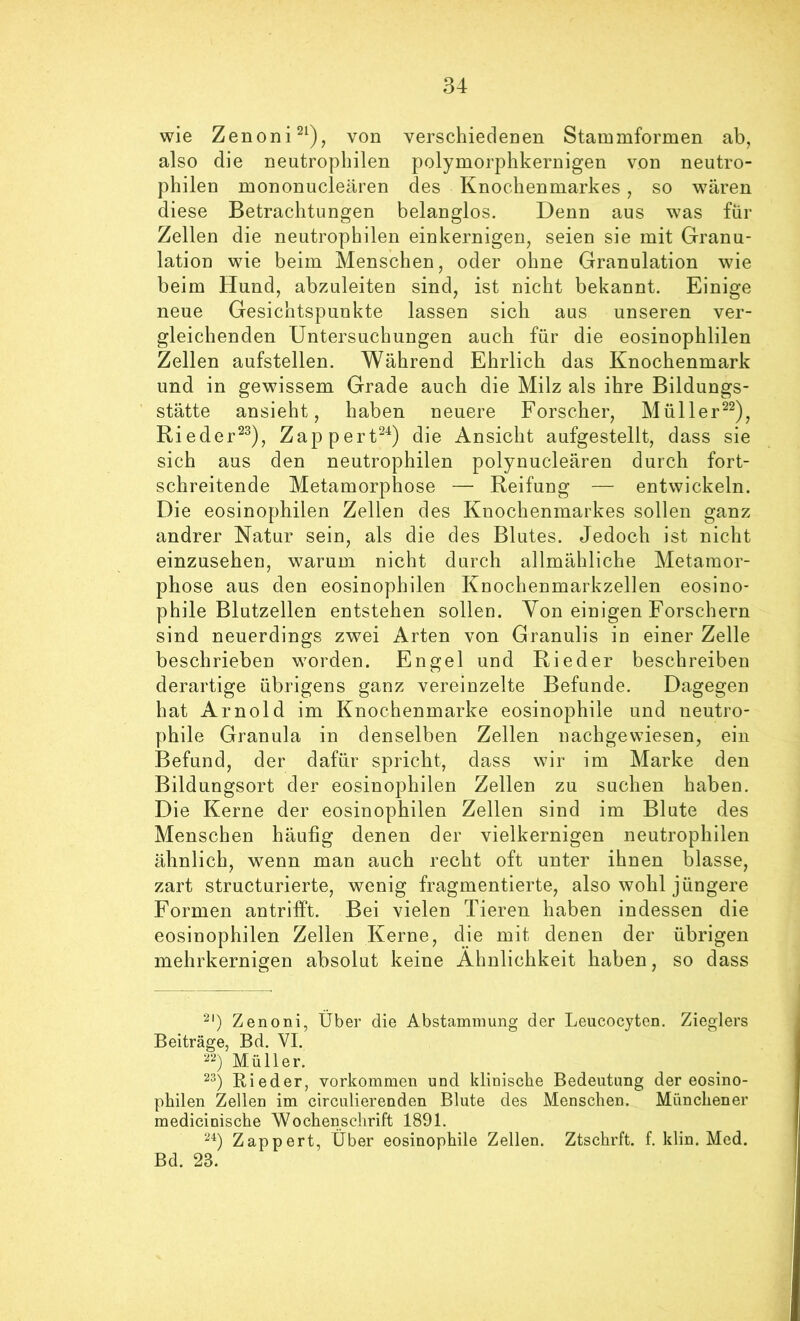 wie Zenoni^^)j von verschiedenen Stammformen ab, also die neutrophilen polymorphkernigen von neutro- philen mononucleären des Knochenmarkes, so wären diese Betrachtungen belanglos. Denn aus was für Zellen die neutrophilen einkernigen, seien sie mit Granu- lation wie beim Menschen, oder ohne Granulation wie beim Hund, abzuleiten sind, ist nicht bekannt. Einige neue Gesichtspunkte lassen sich aus unseren ver- gleichenden Untersuchungen auch für die eosinophlilen Zellen aufstellen. Während Ehrlich das Knochenmark und in gewissem Grade auch die Milz als ihre Bildungs- stätte ansieht, haben neuere Forscher, Müller^^), Rieder^^), Zapp er t^^^) die Ansicht aufgestellt, dass sie sich aus den neutrophilen polynucleären durch fort- schreitende Metamorphose — Reifung — entwickeln. Die eosinophilen Zellen des Knochenmarkes sollen ganz andrer Natur sein, als die des Blutes. Jedoch ist nicht einzusehen, warum nicht durch allmähliche Metamor- phose aus den eosinophilen Knochenmarkzellen eosino- phile Blutzellen entstehen sollen. Von einigen Forschern sind neuerdings zwei Arten von Granulis in einer Zelle beschrieben worden. Engel und Rieder beschreiben derartige übrigens ganz vereinzelte Befunde. Dagegen hat Arnold im Knochenmarke eosinophile und neutro- phile Granula in denselben Zellen nachgewiesen, ein Befund, der dafür spricht, dass wir im Marke den Bildungsort der eosinophilen Zellen zu suchen haben. Die Kerne der eosinophilen Zellen sind im Blute des Menschen häufig denen der vielkernigen neutrophilen ähnlich, wenn man auch recht oft unter ihnen blasse, zart structurierte, wenig fragmentierte, also wohl jüngere Formen an trifft. Bei vielen Tieren haben indessen die eosinophilen Zellen Kerne, die mit denen der übrigen mehrkernigen absolut keine Ähnlichkeit haben, so dass Zenoni, Über die Abstammung der Leucocyten. Zieglers Beiträge, Bd. VI. ^2) Müller. Bieder, verkommen und klinische Bedeutung der eosino- philen Zellen im circulierenden Blute des Menschen. Münchener medicinische Wochenschrift 1891. Zappert, Über eosinophile Zellen. Ztschrft. f. klin. Med. Bd. 23.